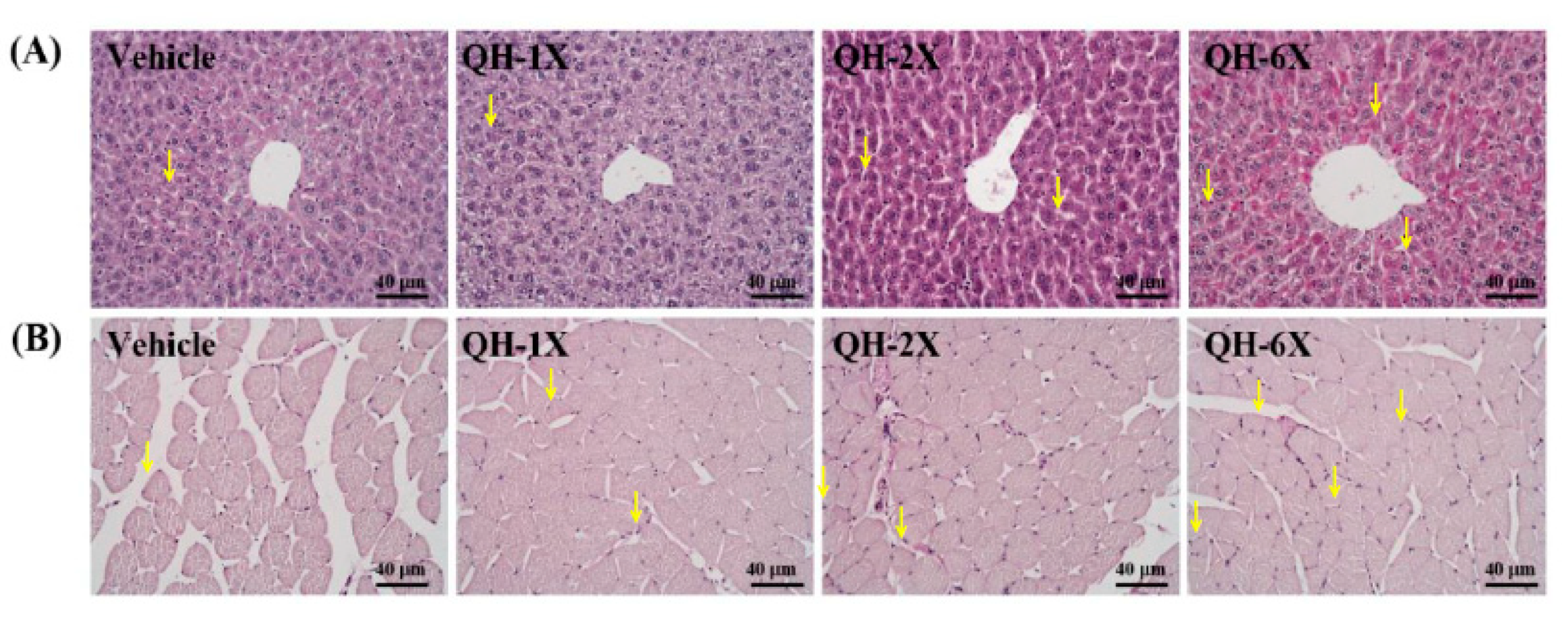 Nutrients 11 02550 g008