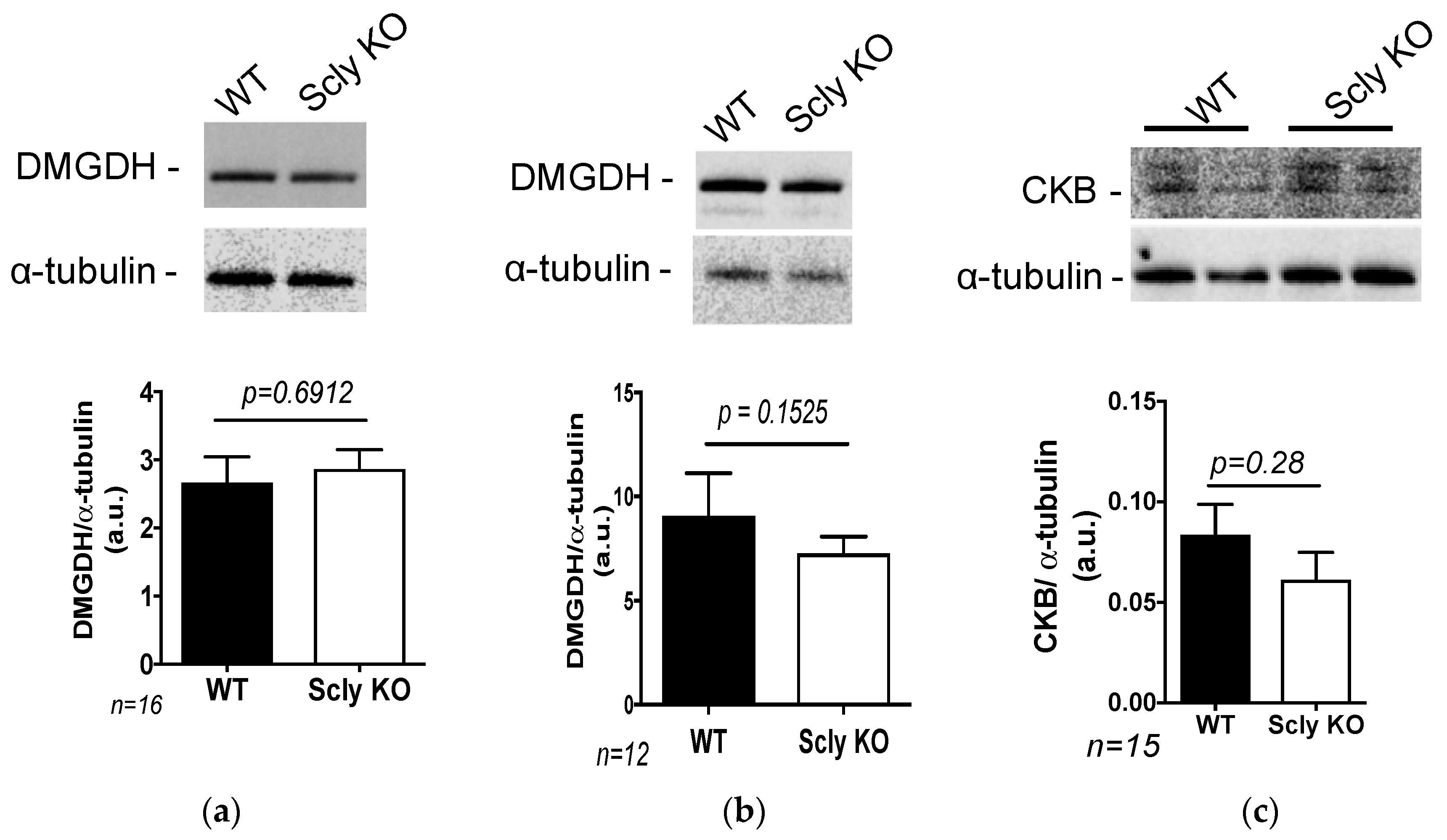 Nutrients 11 02584 g004
