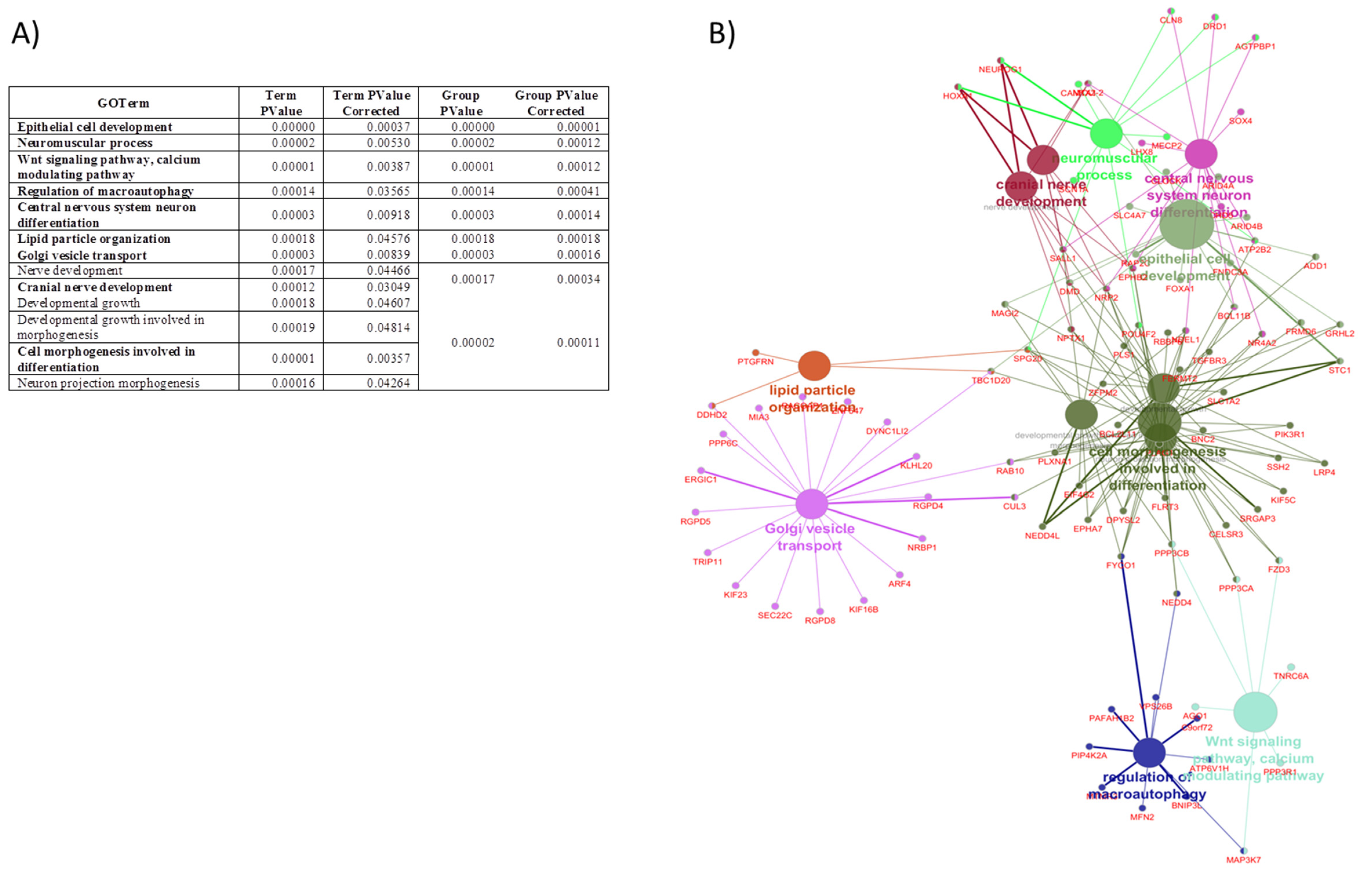 Nutrients 11 02589 g002
