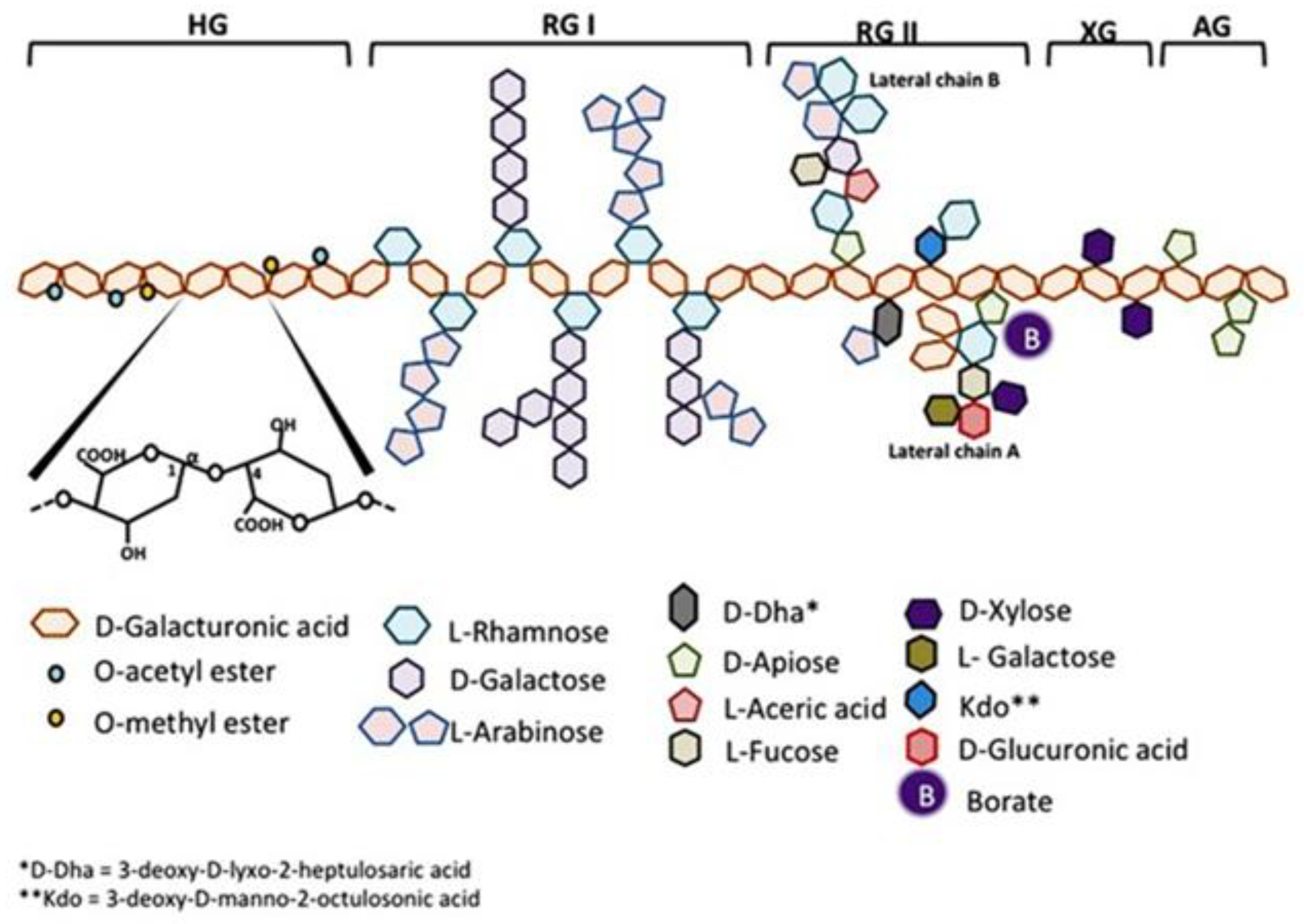 Nutrients 11 02619 g001