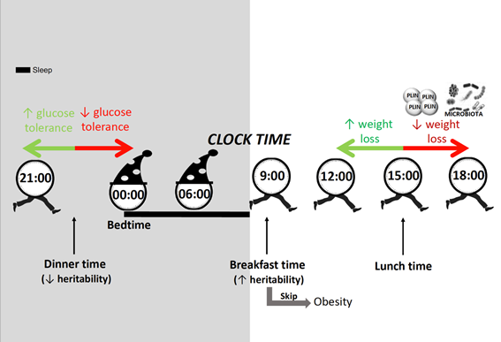 Nutrients 11 02624 g003