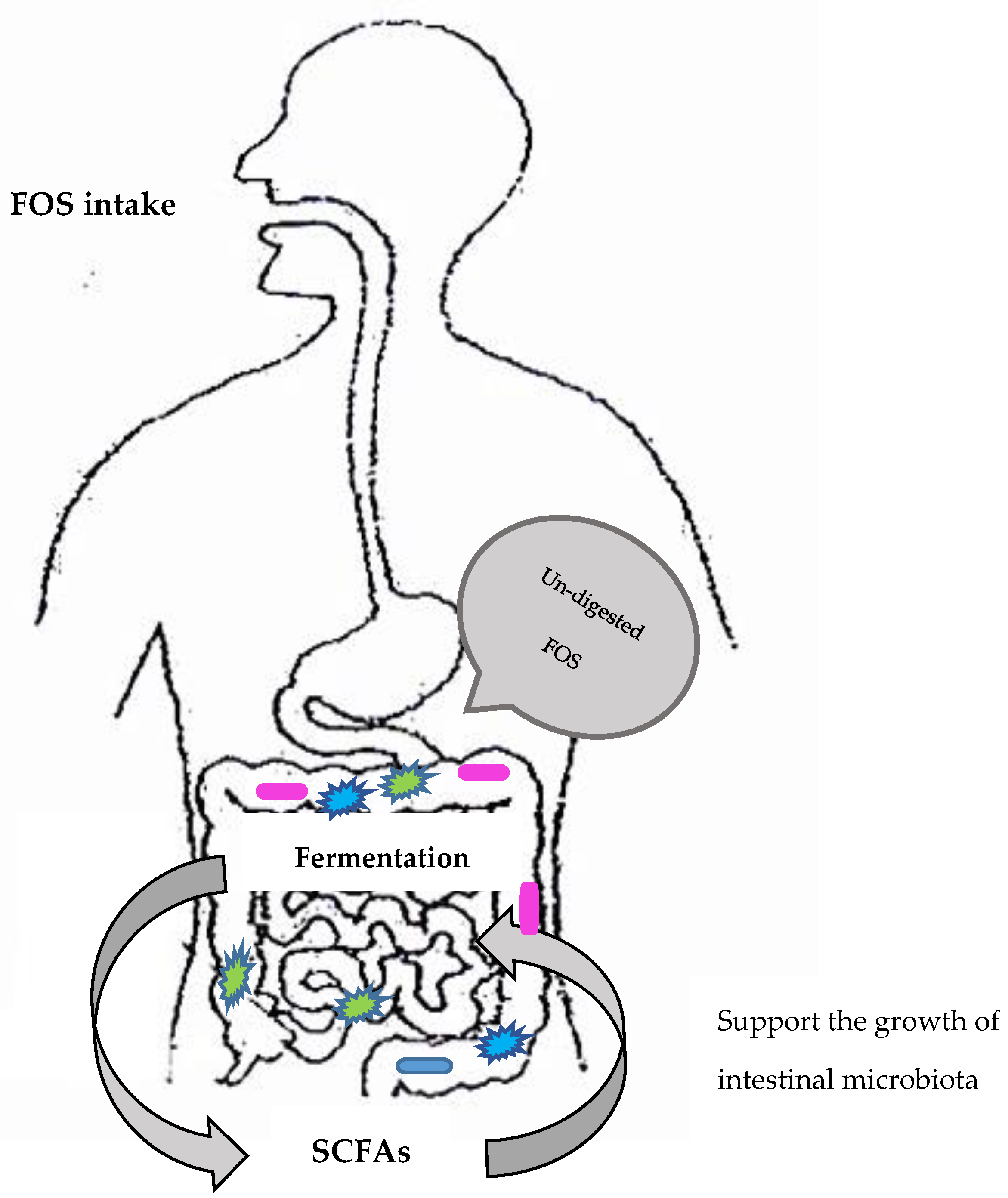 Nutrients 11 02632 g002
