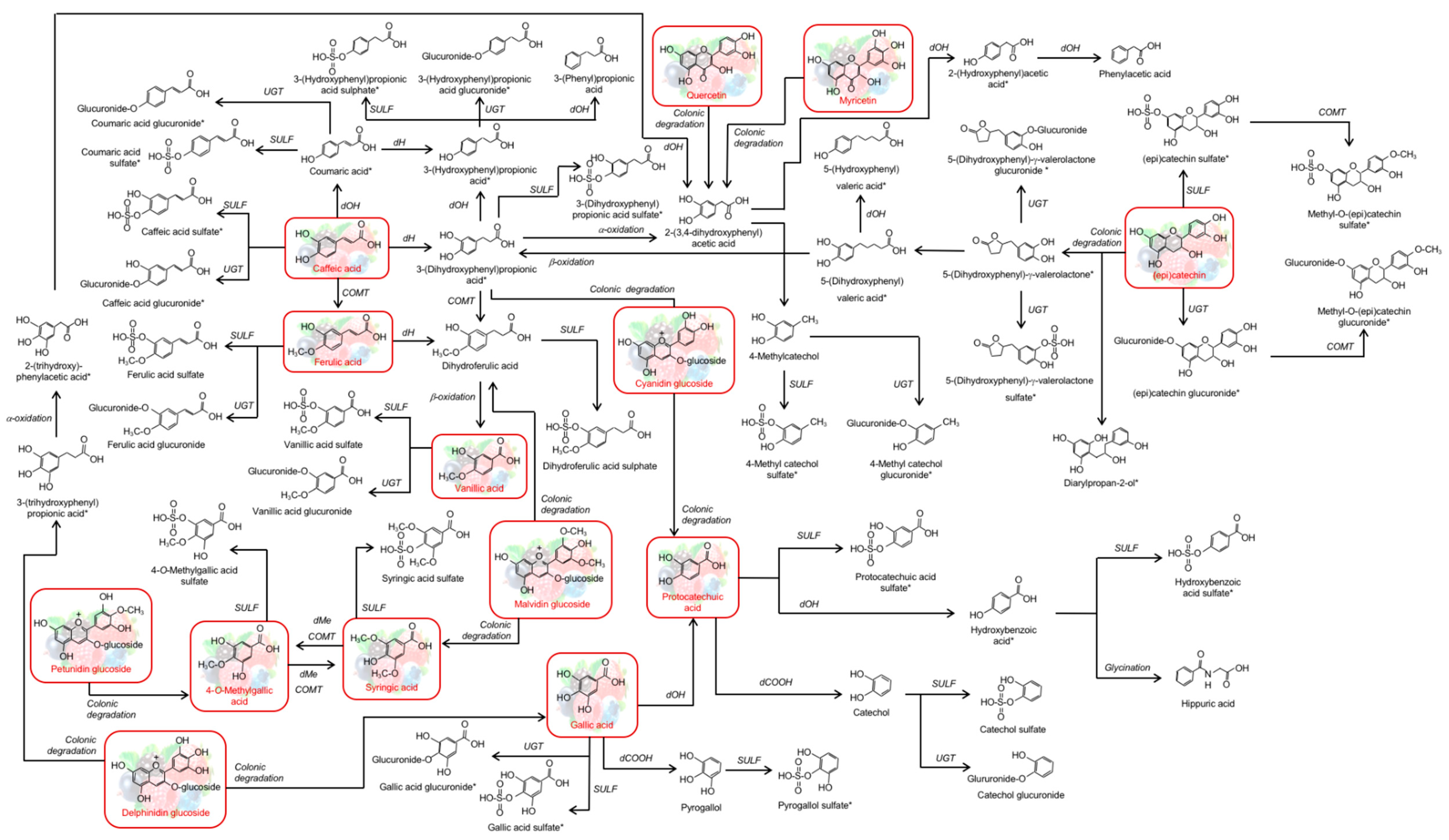 Nutrients 11 02634 g003