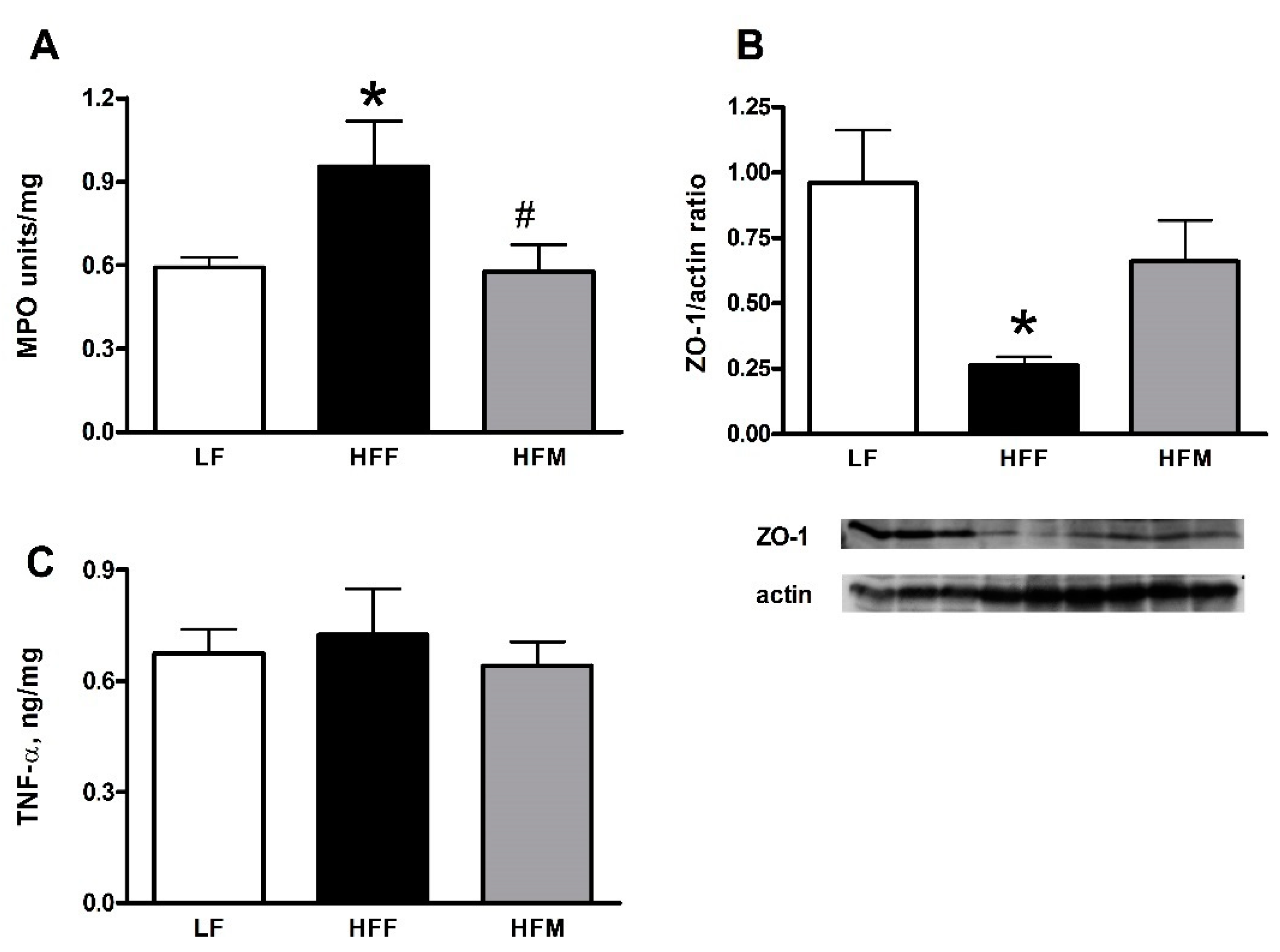 Nutrients 11 02643 g005