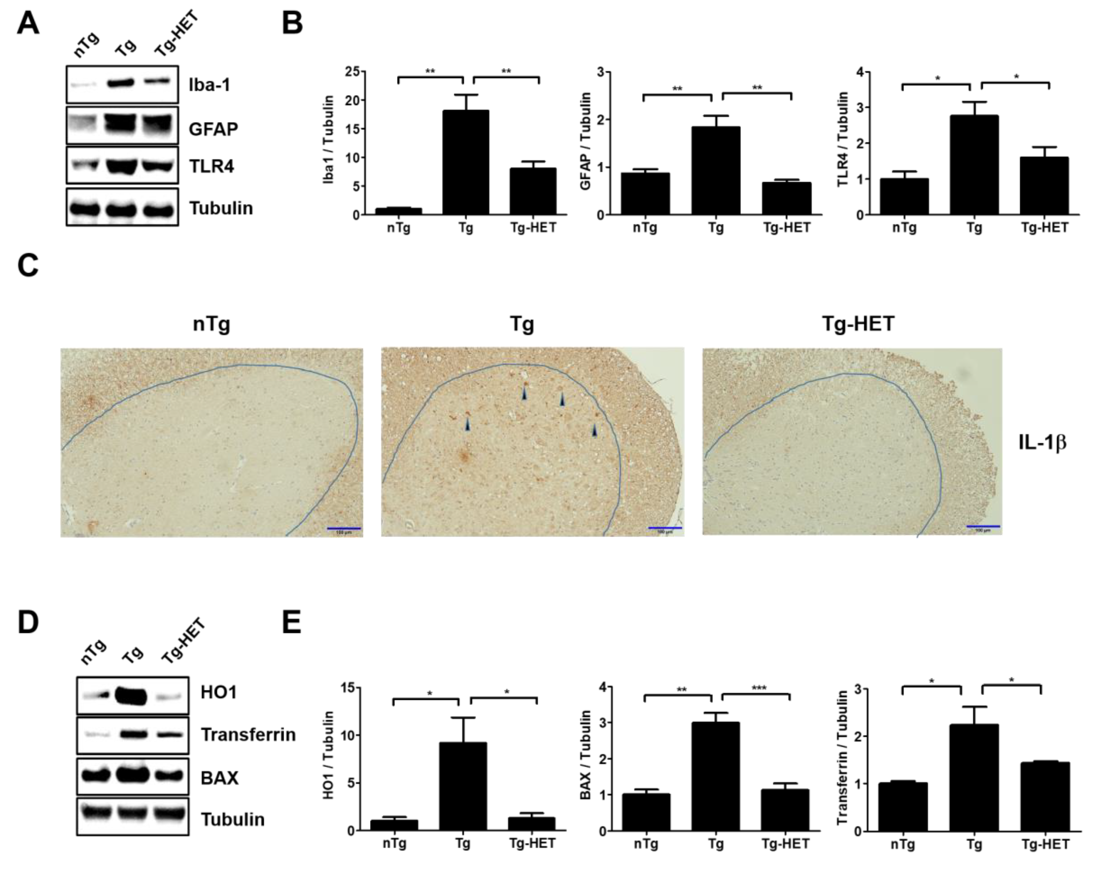 Nutrients 11 02644 g002