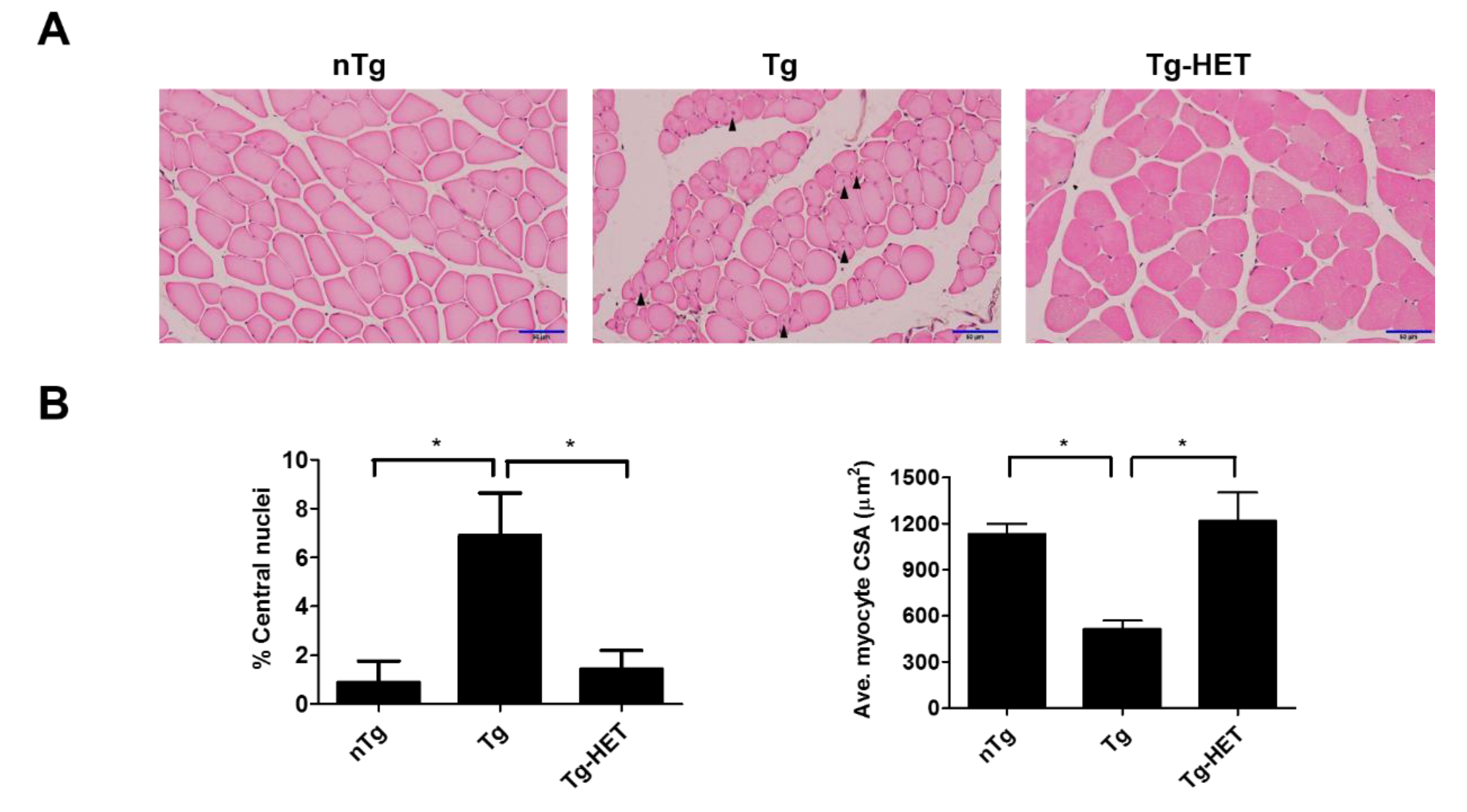 Nutrients 11 02644 g003