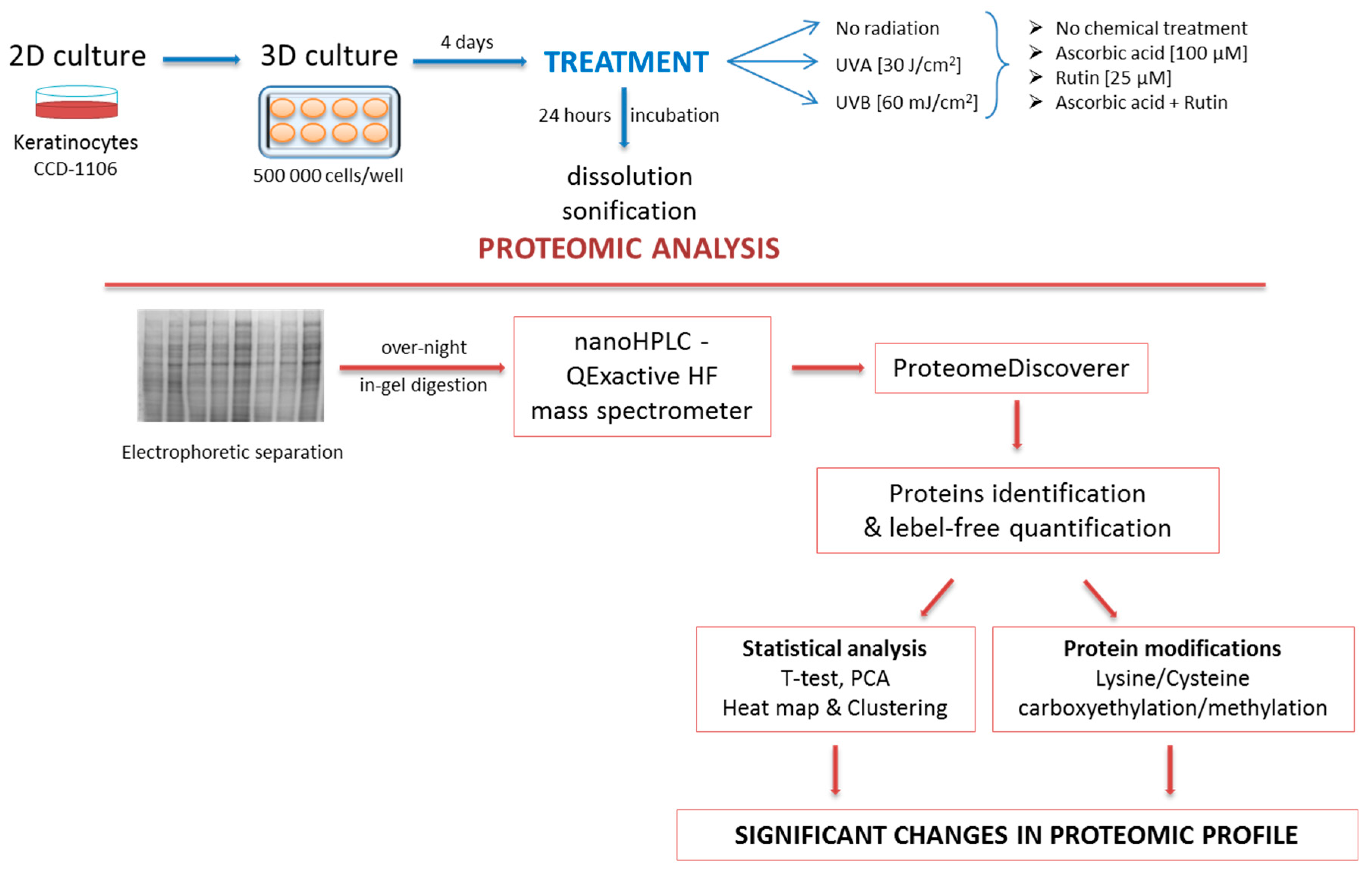 Nutrients 11 02672 g002