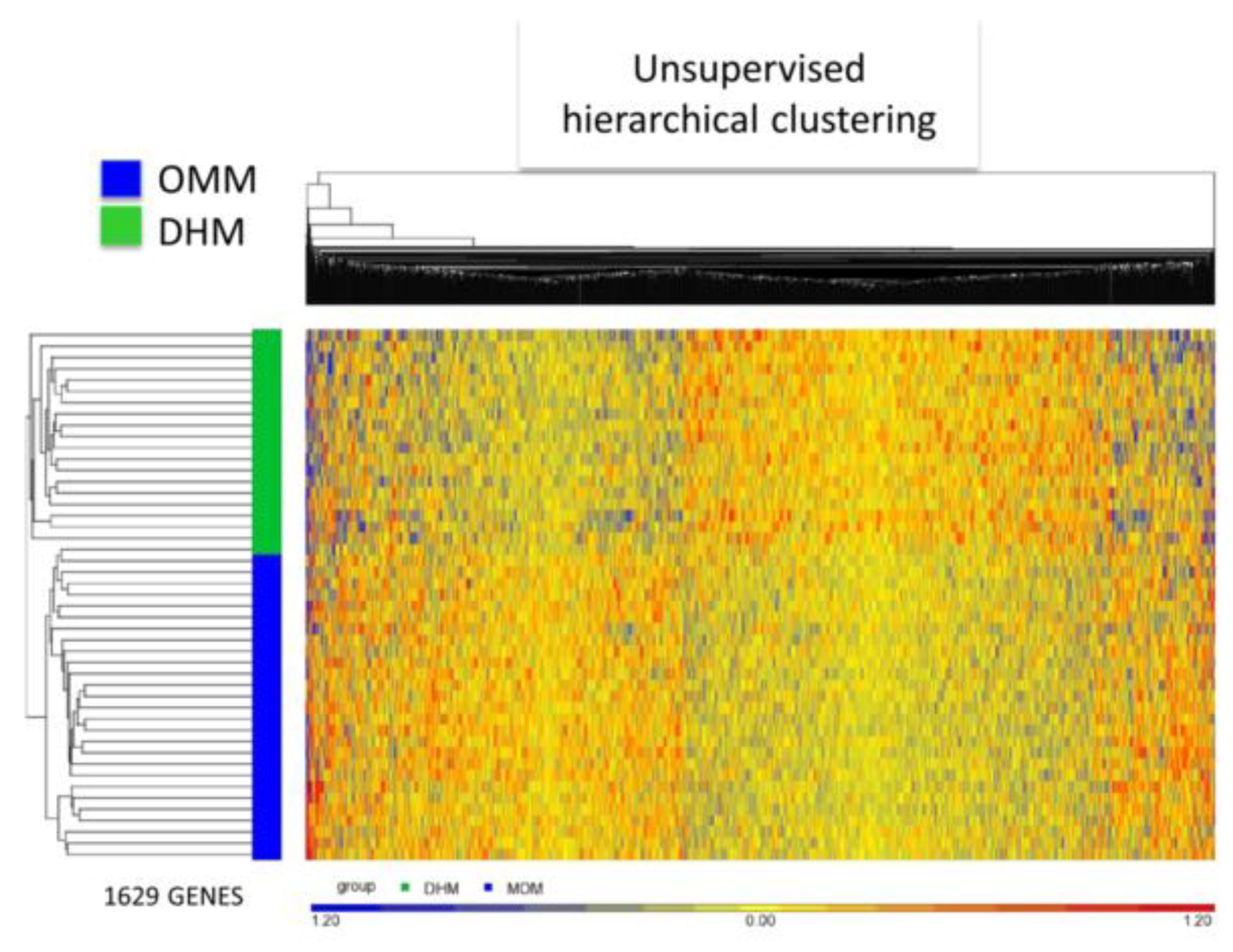 Nutrients 11 02677 g003