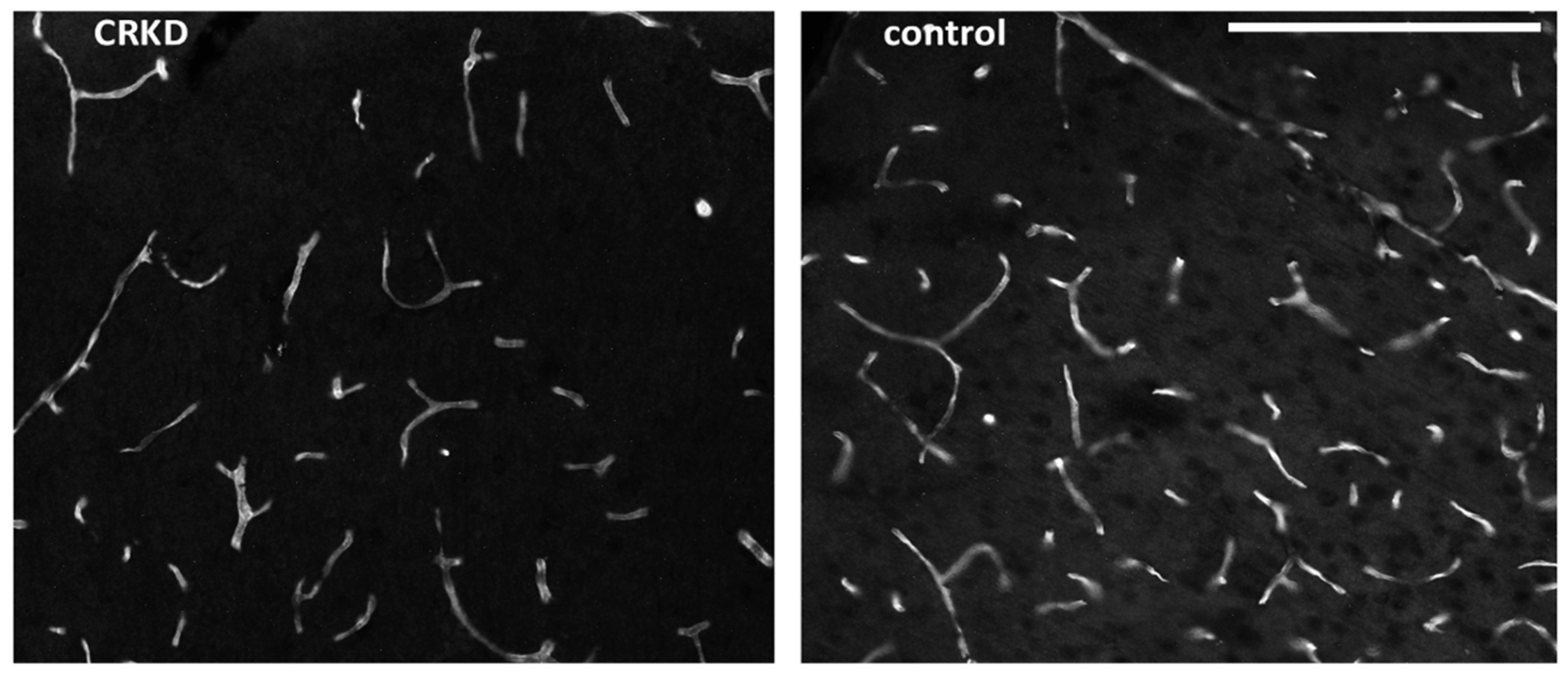 Nutrients 11 02681 g003