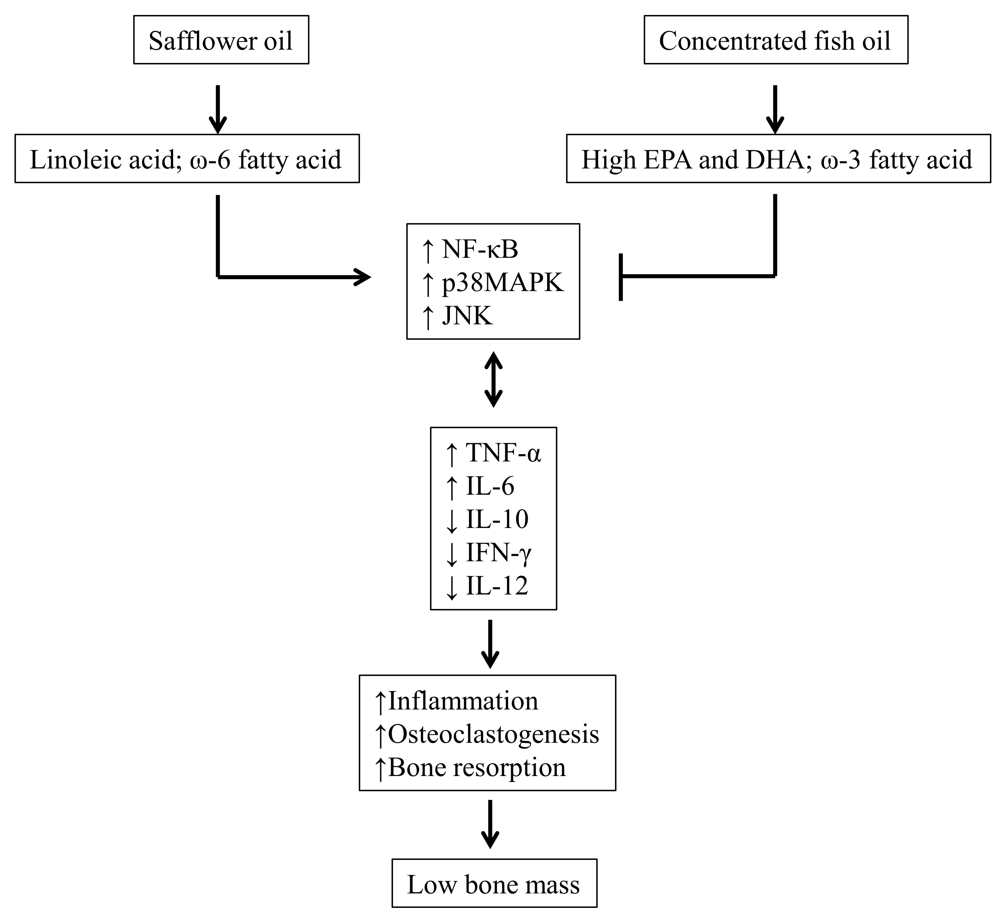 Nutrients 11 02701 g006