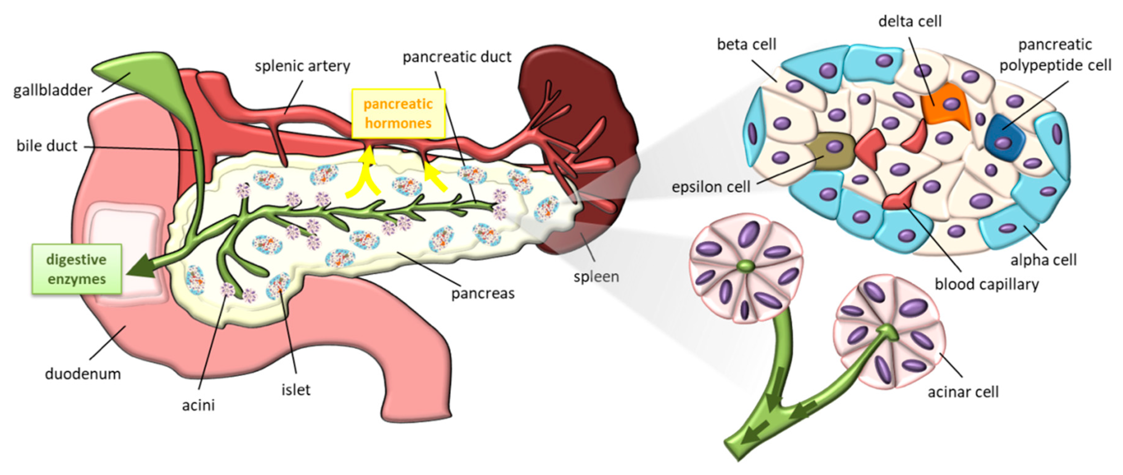 Nutrients 11 02708 g001