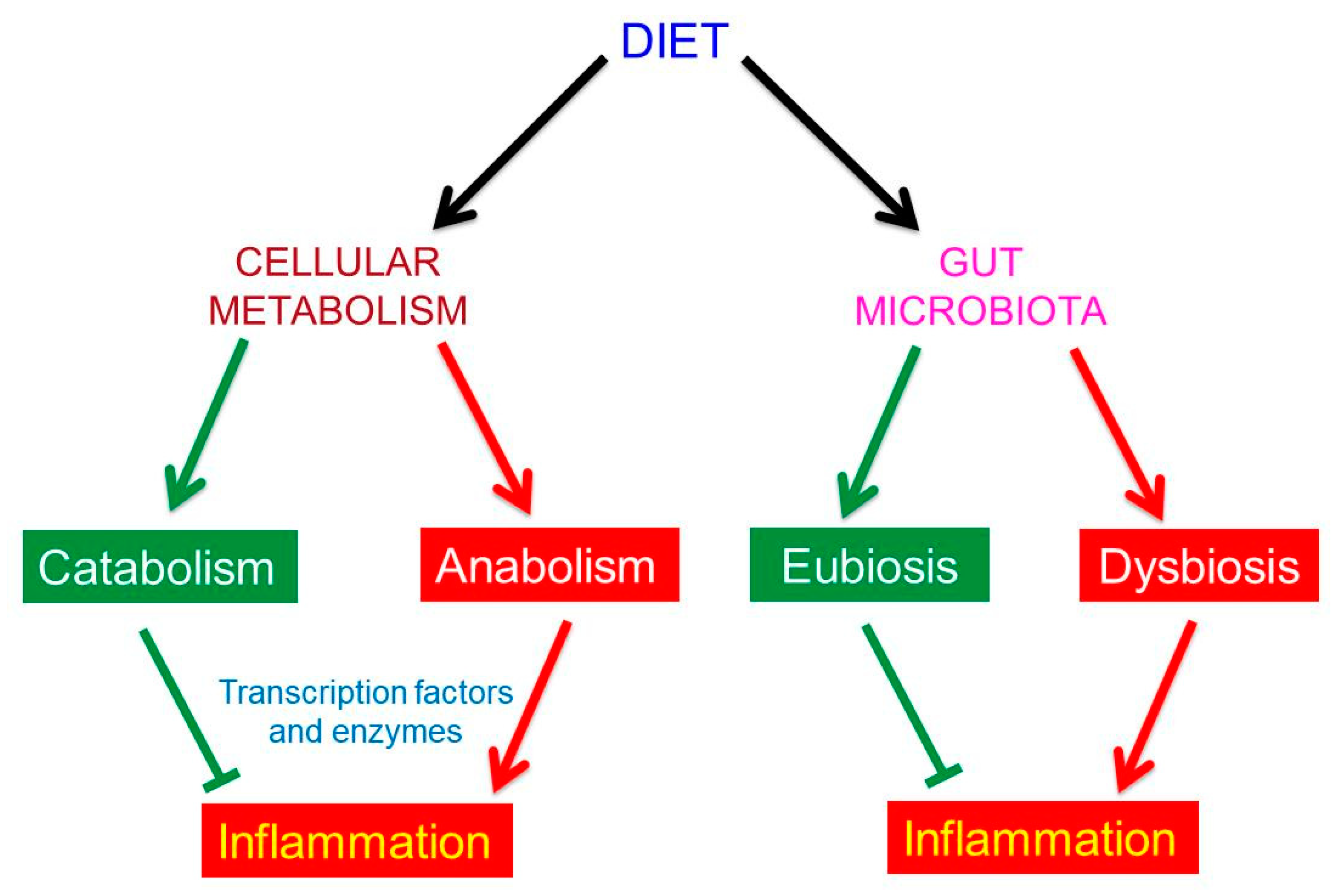 Nutrients 11 02714 g002