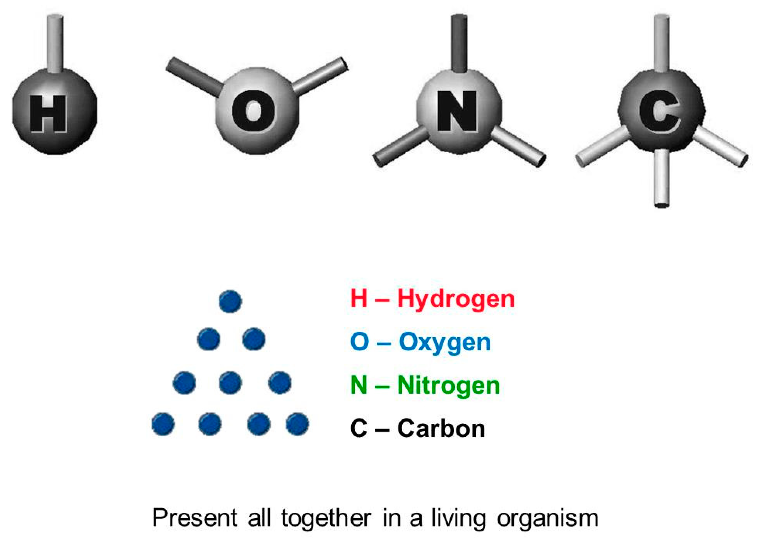 Nutrients 11 02714 g005