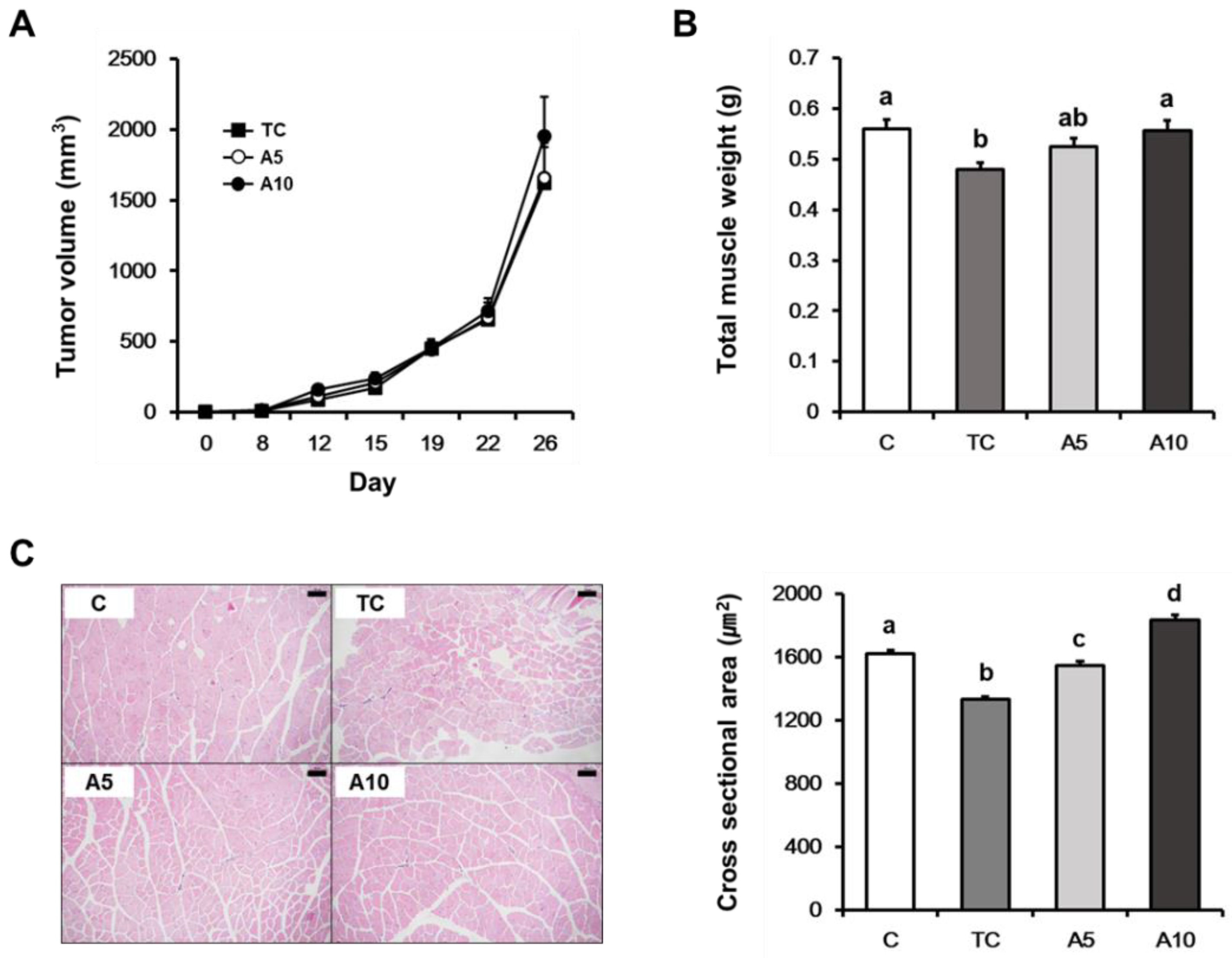 Nutrients 11 02724 g001