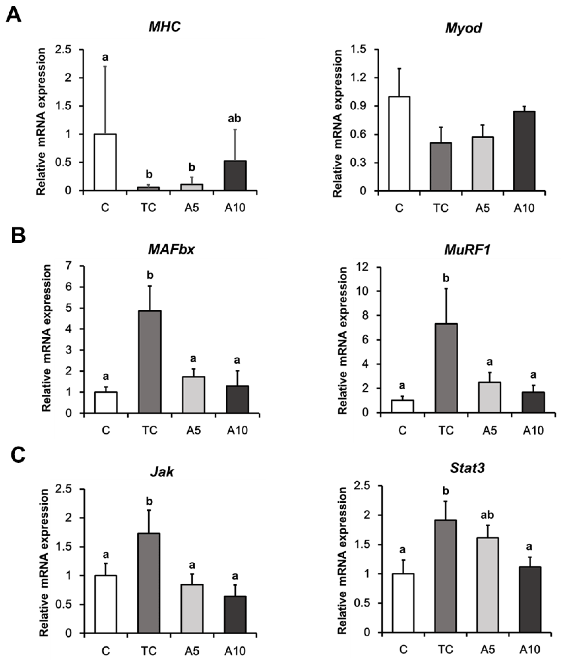 Nutrients 11 02724 g003a