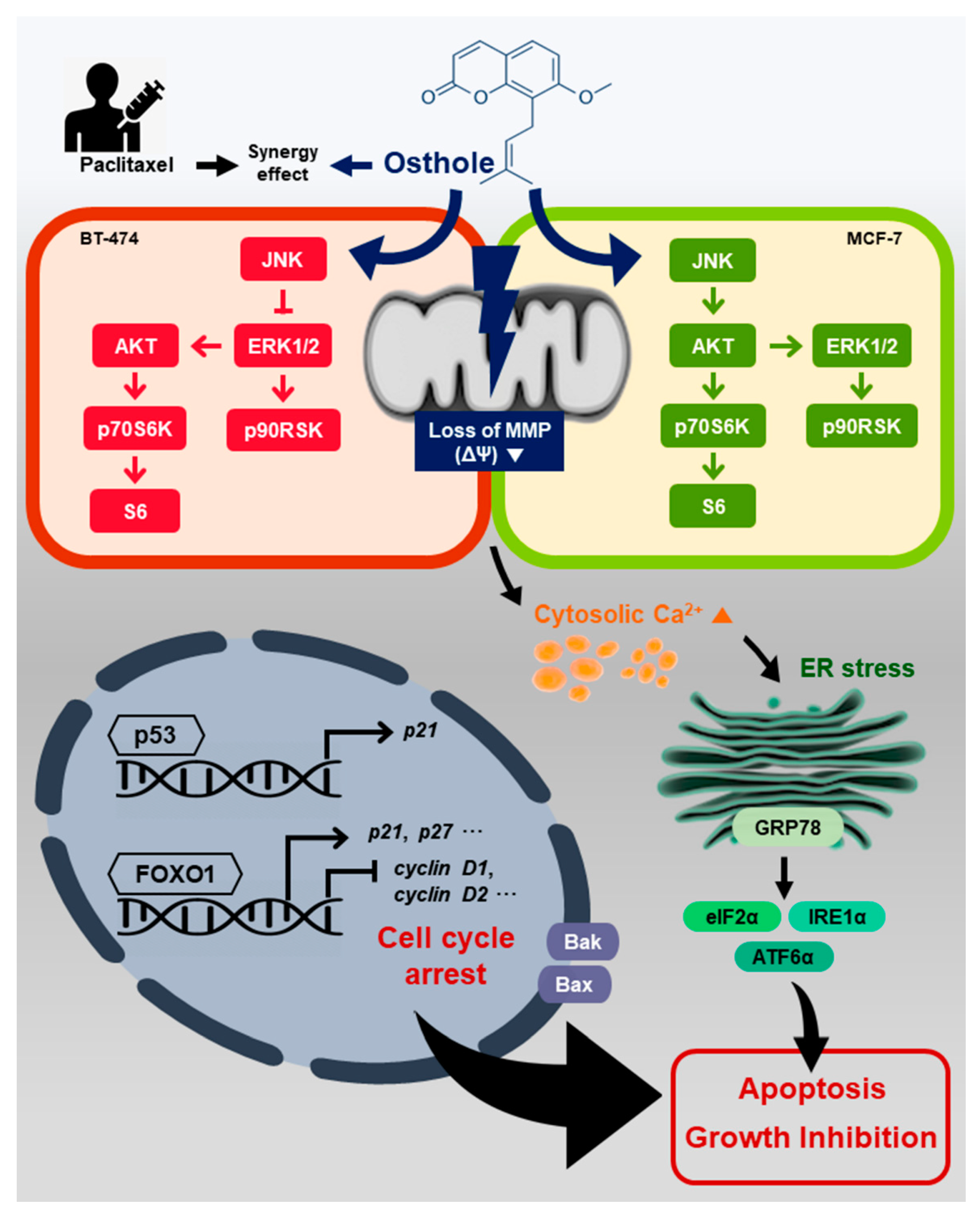 Nutrients 11 02777 g009 Nutrients 11 02777 g009