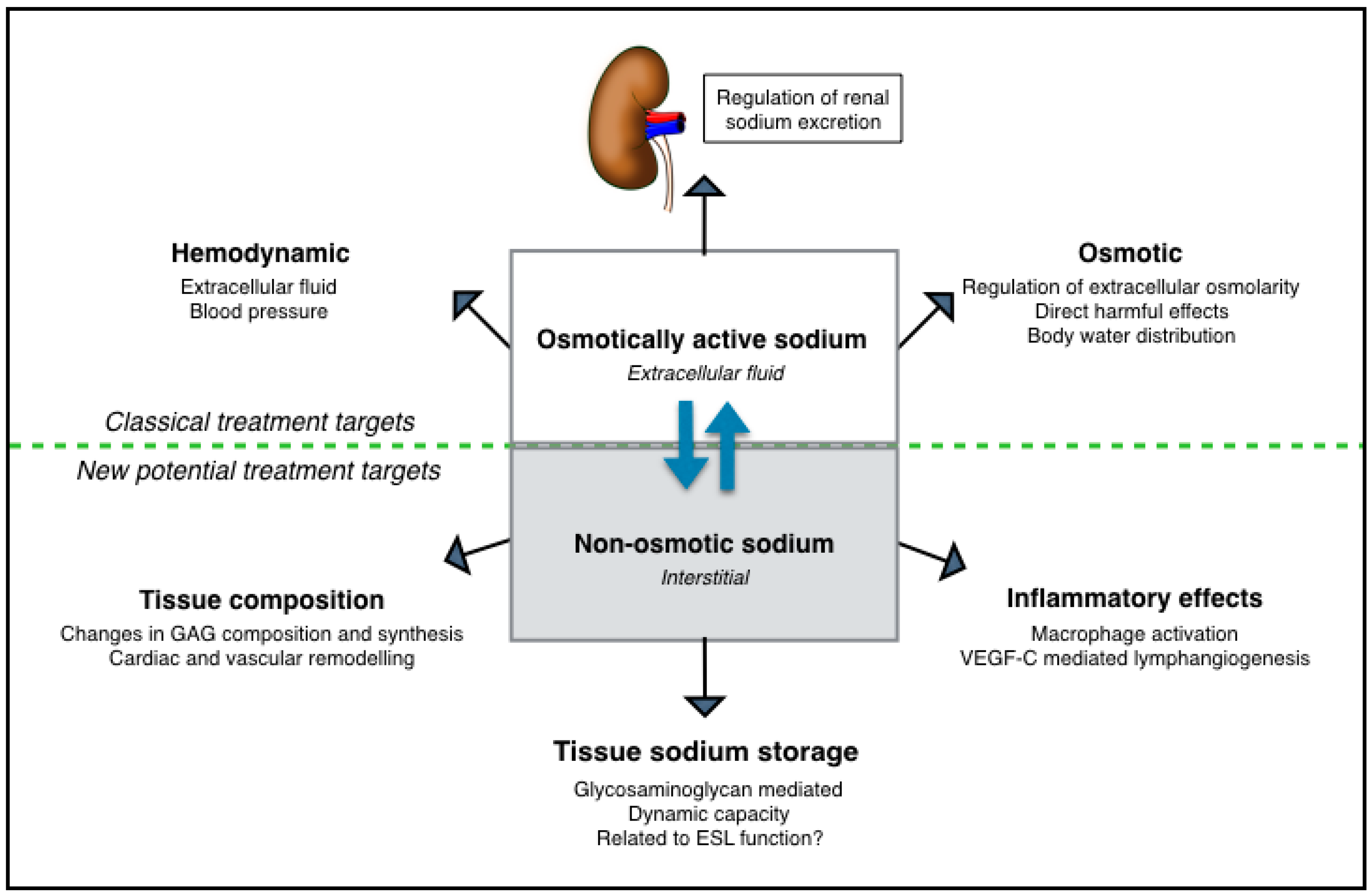 Nutrients 11 02779 g002 Nutrients 11 02779 g002