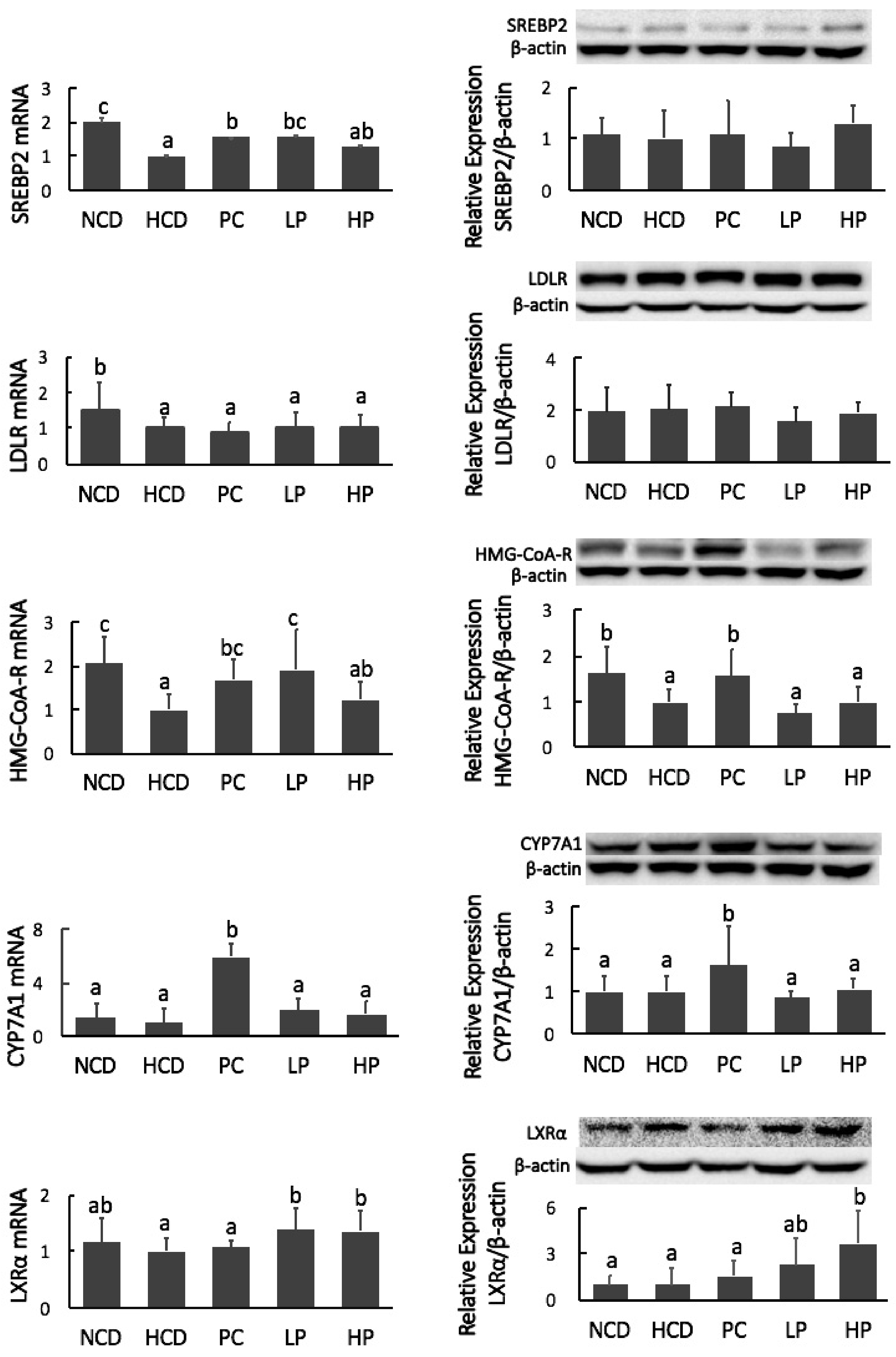 Nutrients 11 02784 g009