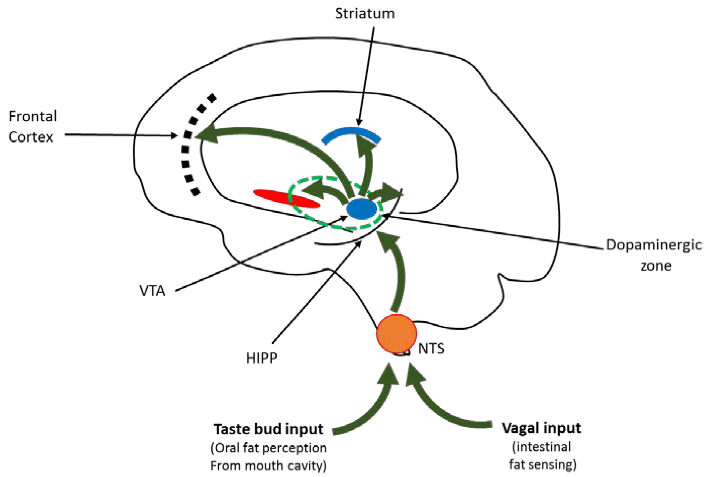 Nutrients 11 02785 g002 550