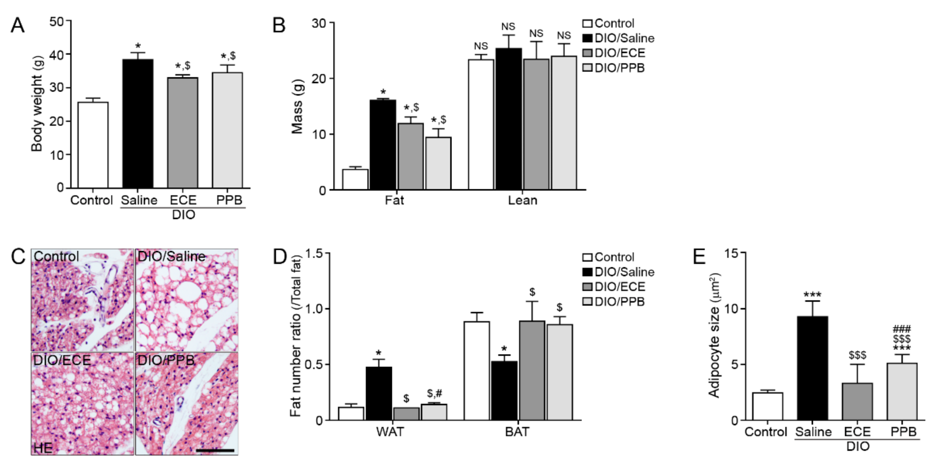 Nutrients 11 02795 g001
