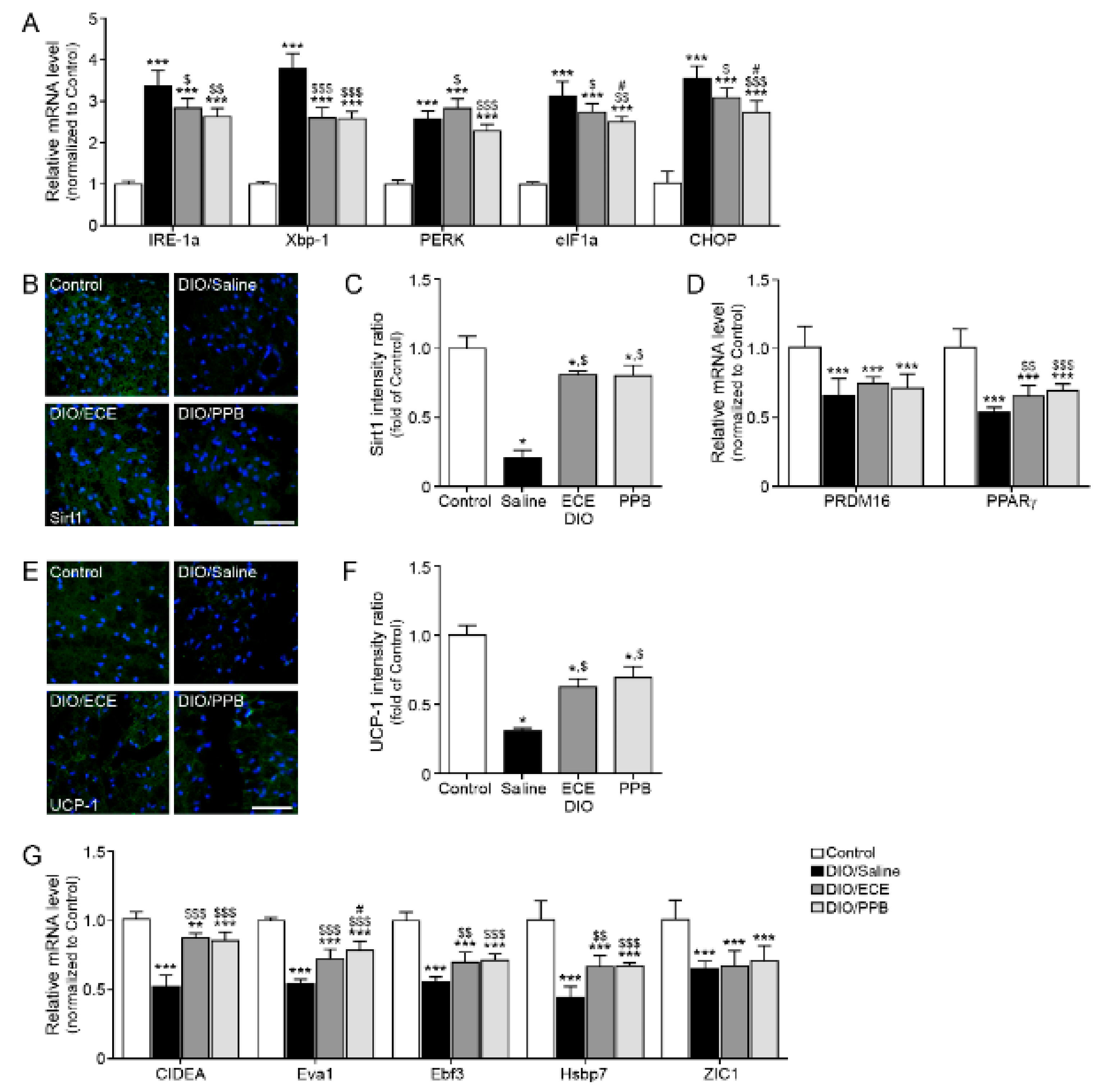 Nutrients 11 02795 g003