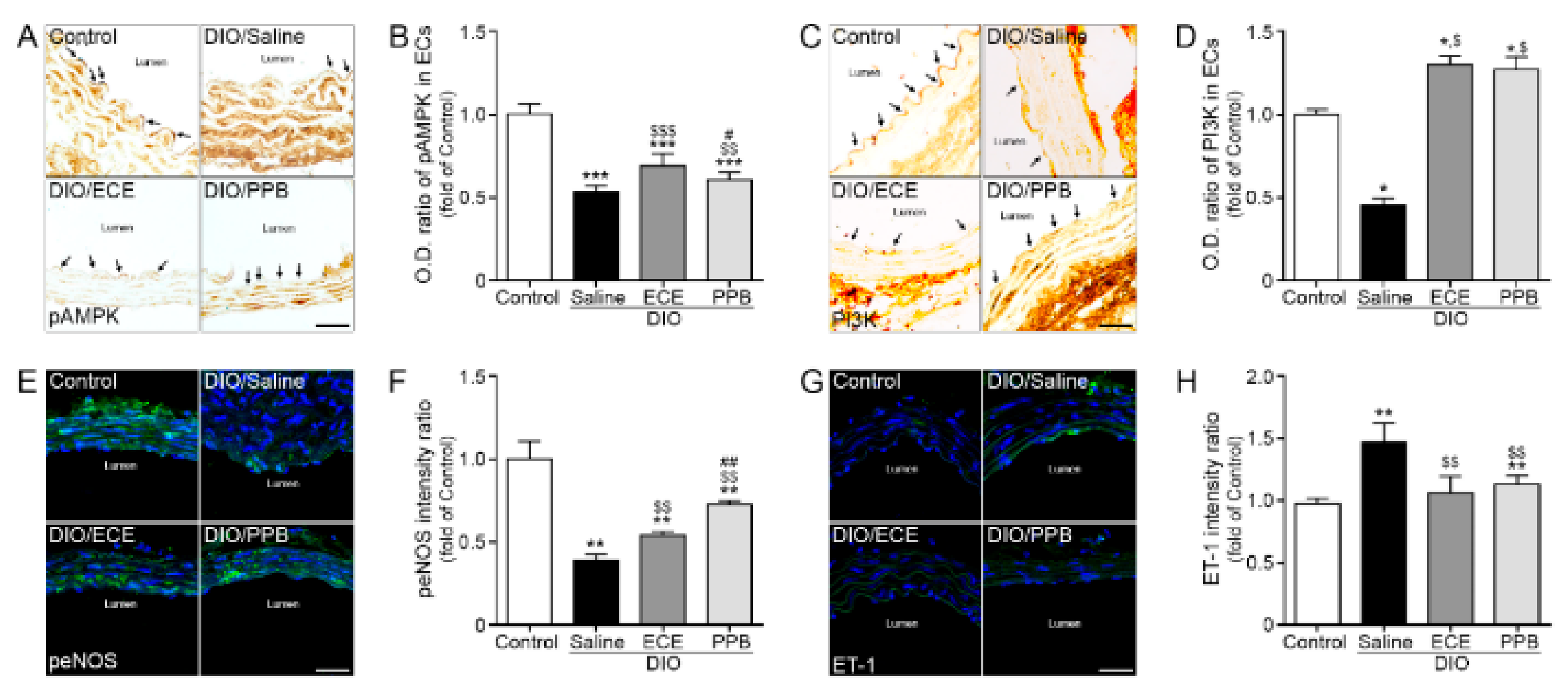 Nutrients 11 02795 g004