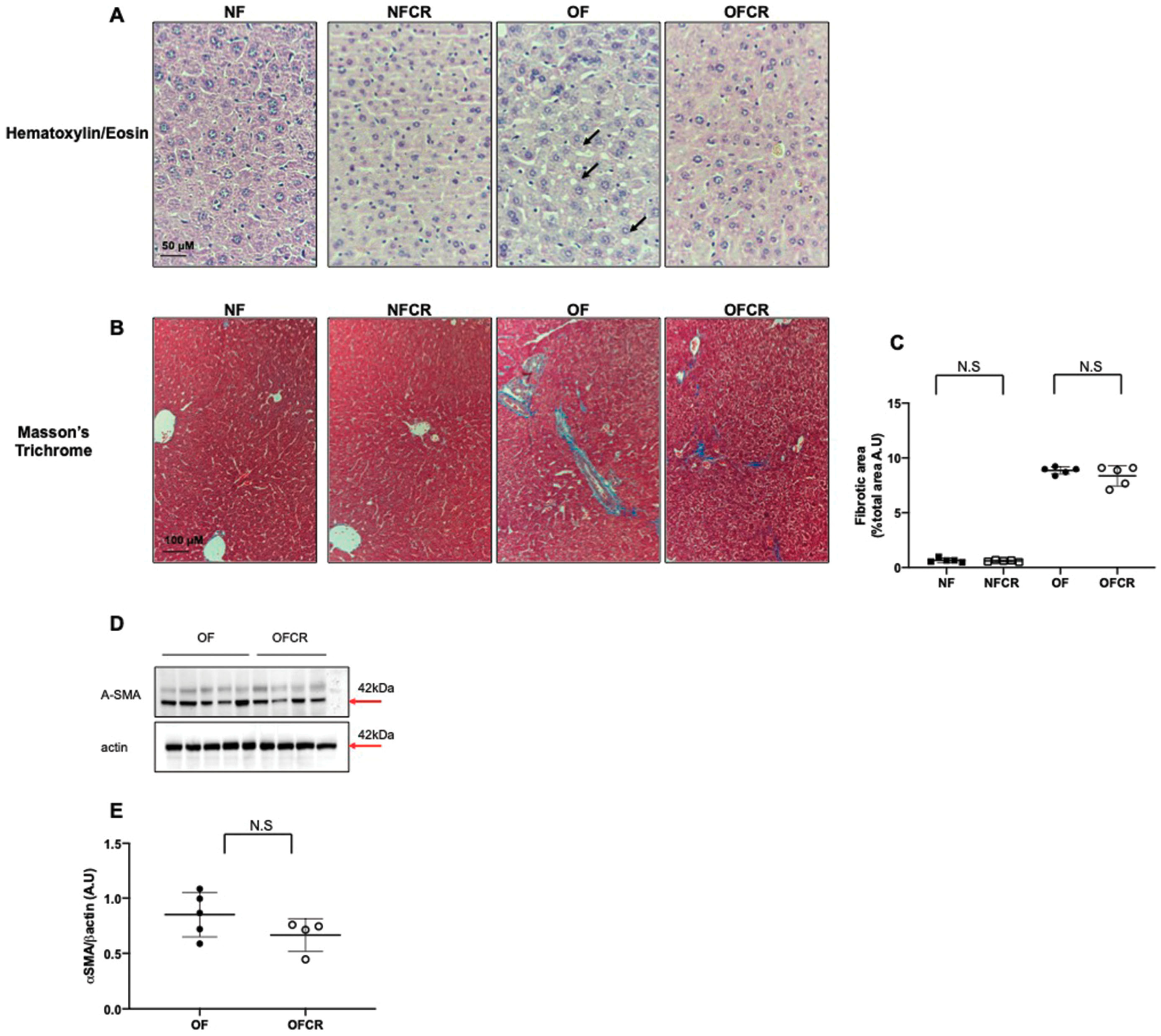 Nutrients 11 02796 g001