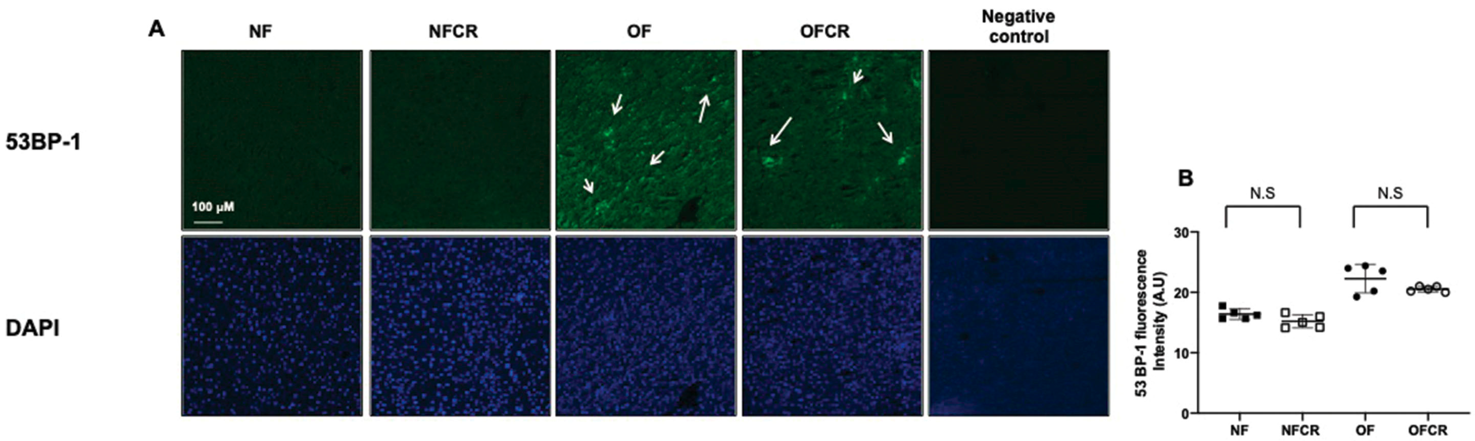Nutrients 11 02796 g003