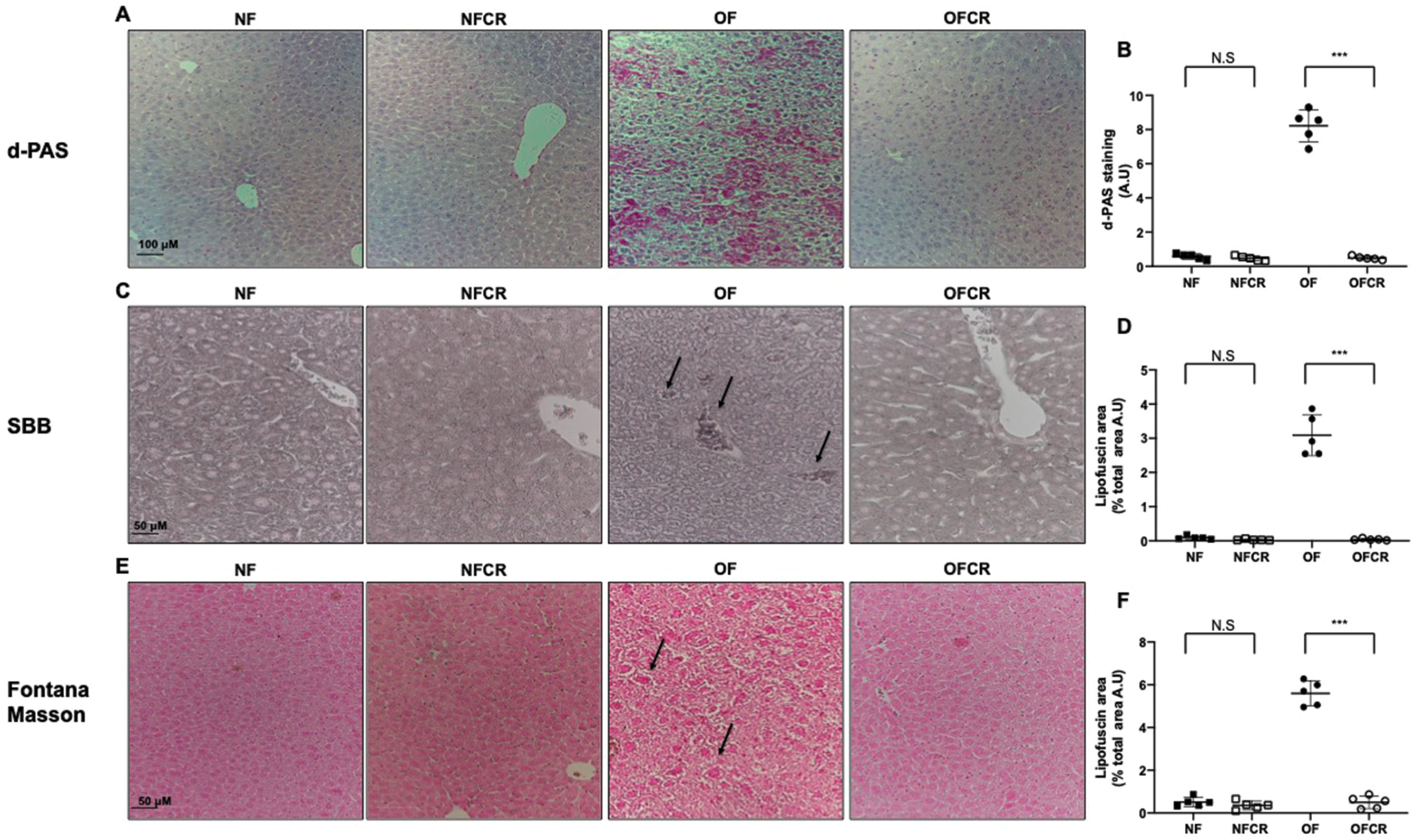 Nutrients 11 02796 g004