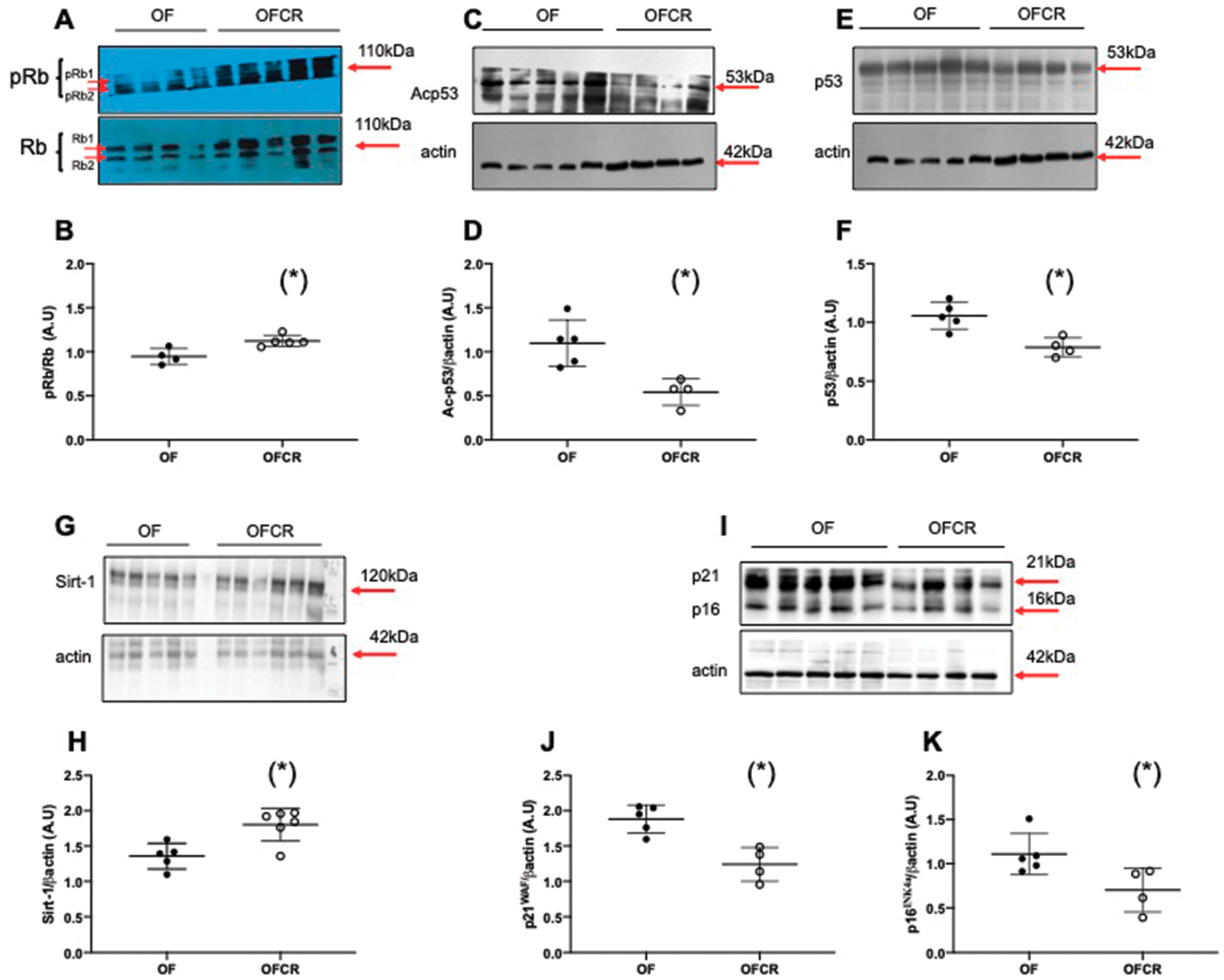 Nutrients 11 02796 g005