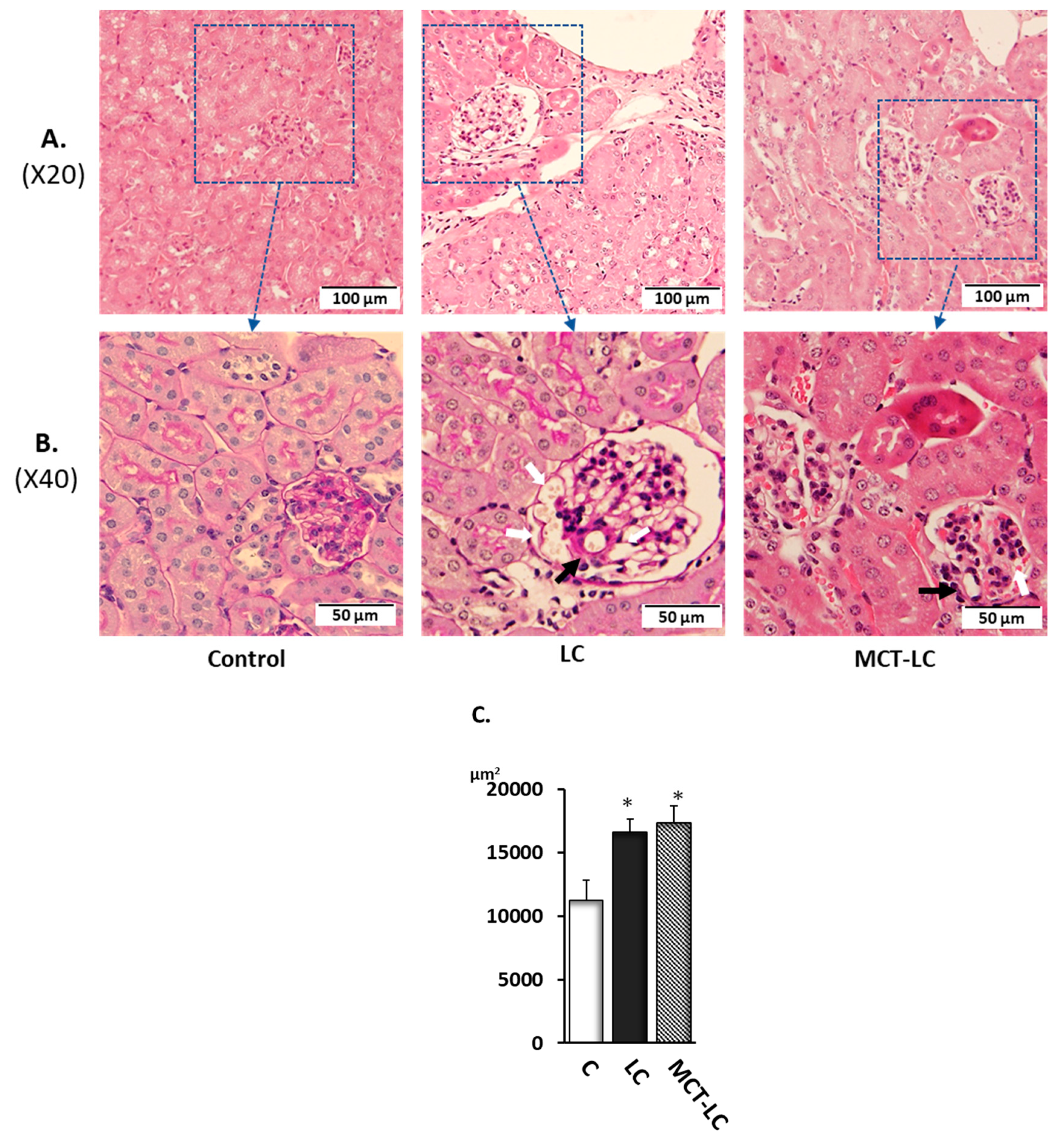 Nutrients 11 02801 g003