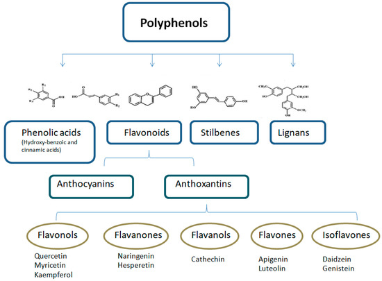 Nutrients Free Full Text The Fluid Aspect Of The Mediterranean Diet In The Prevention And Management Of Cardiovascular Disease And Diabetes The Role Of Polyphenol Content In Moderate Consumption Of Wine