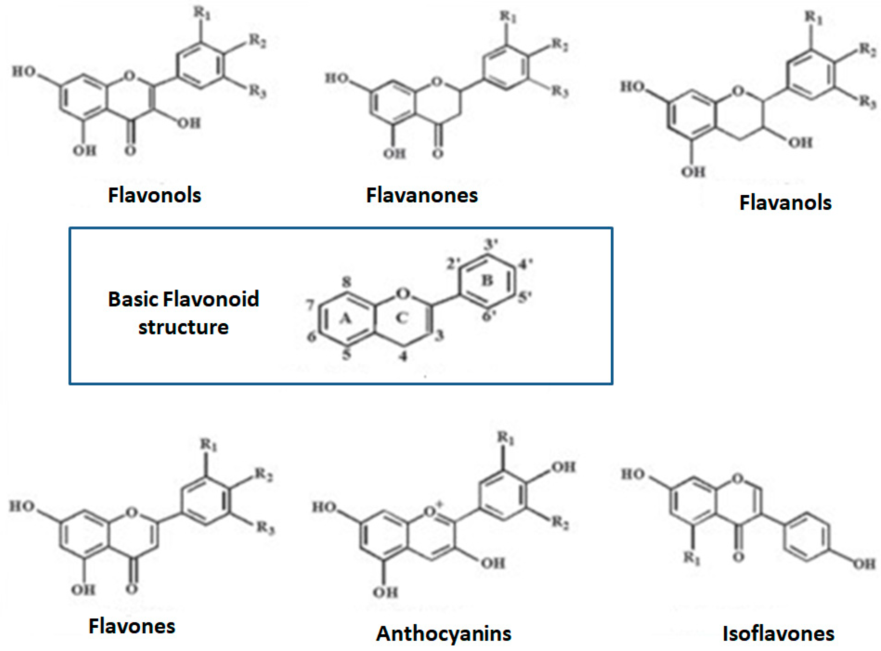 Nutrients Free Full Text The Fluid Aspect Of The Mediterranean Diet In The Prevention And Management Of Cardiovascular Disease And Diabetes The Role Of Polyphenol Content In Moderate Consumption Of Wine