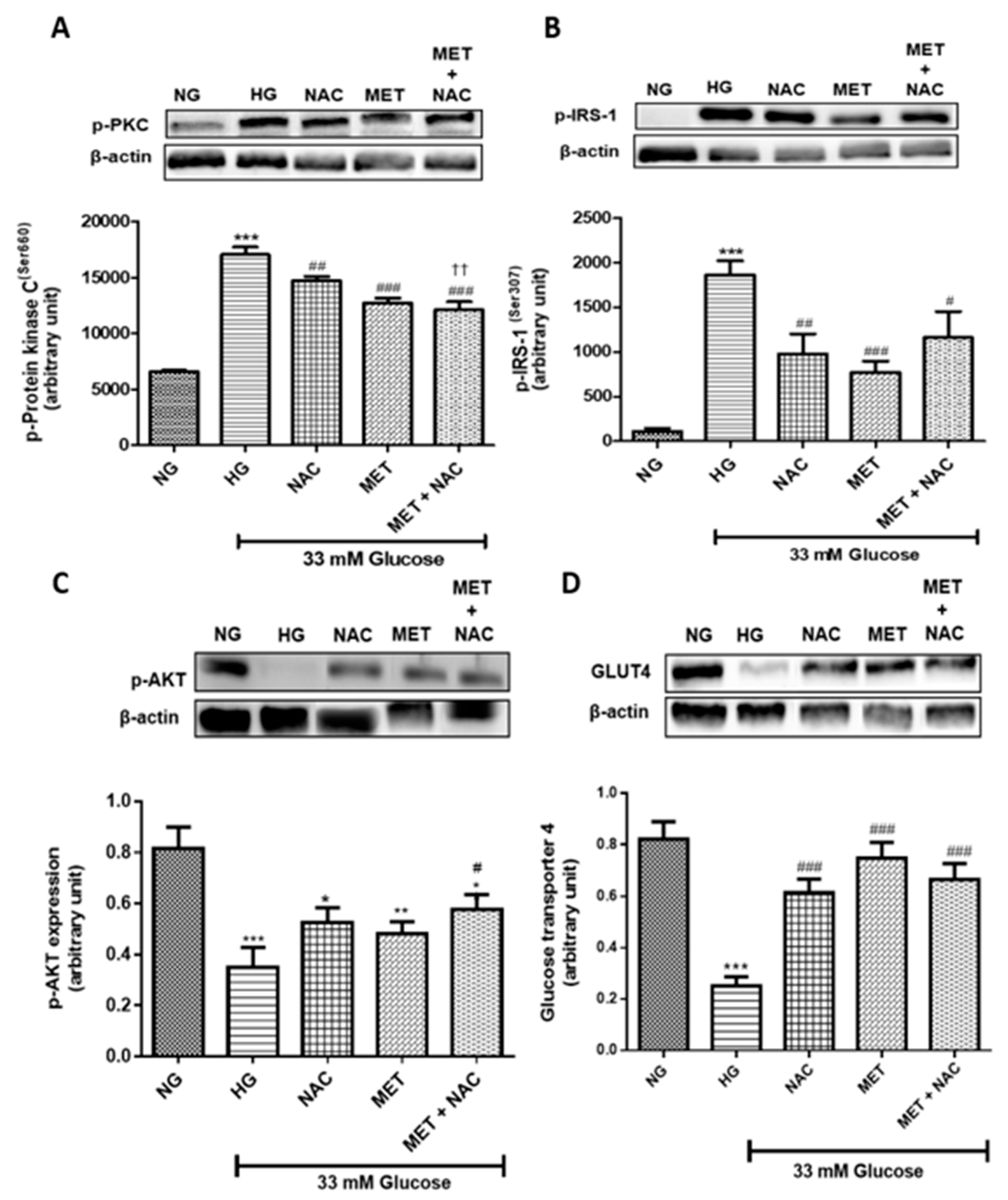 Nutrients 11 02850 g011