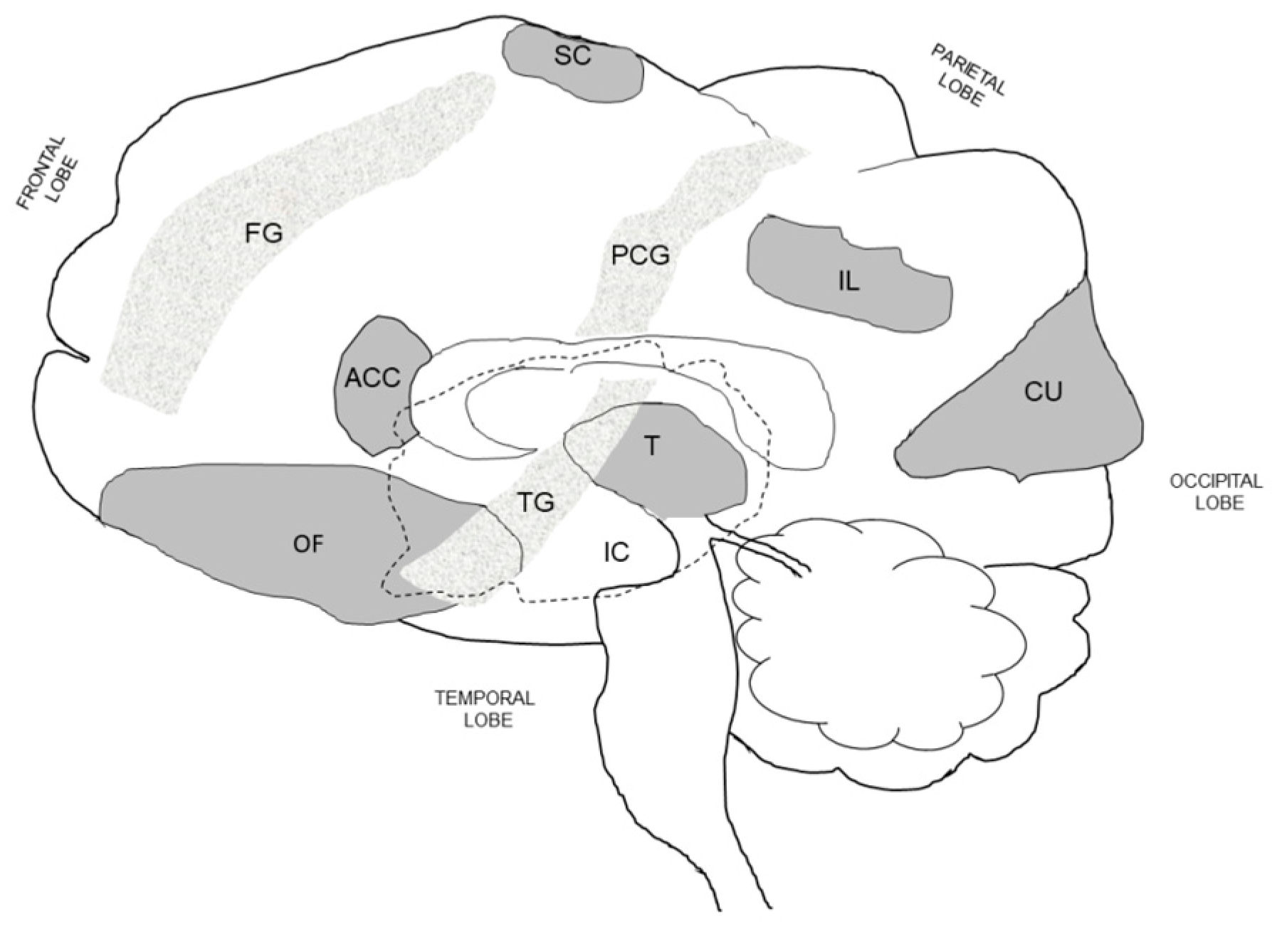 Nutrients 11 02864 g004 Nutrients 11 02864 g004