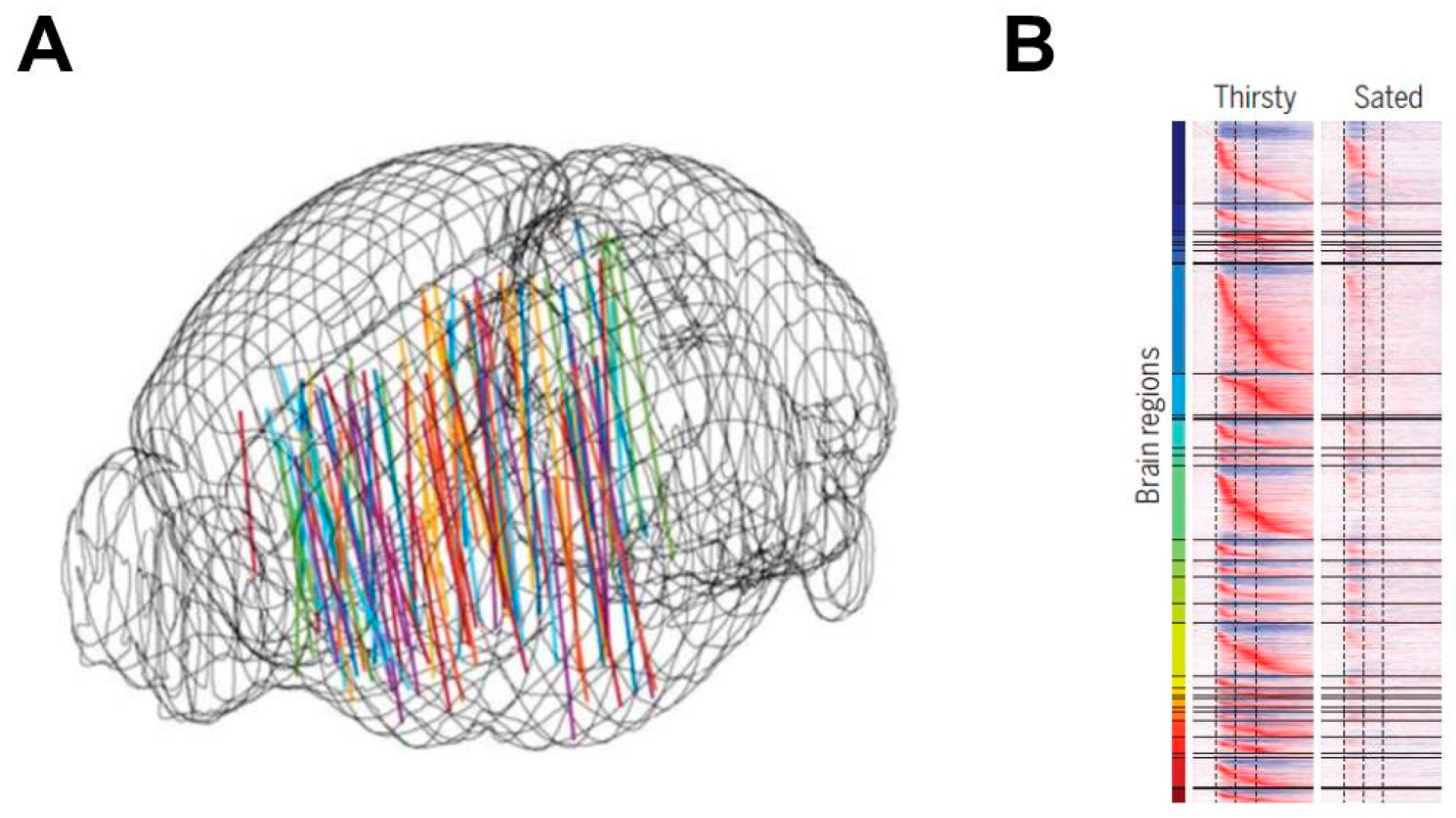 Nutrients 11 02864 g006 Nutrients 11 02864 g006