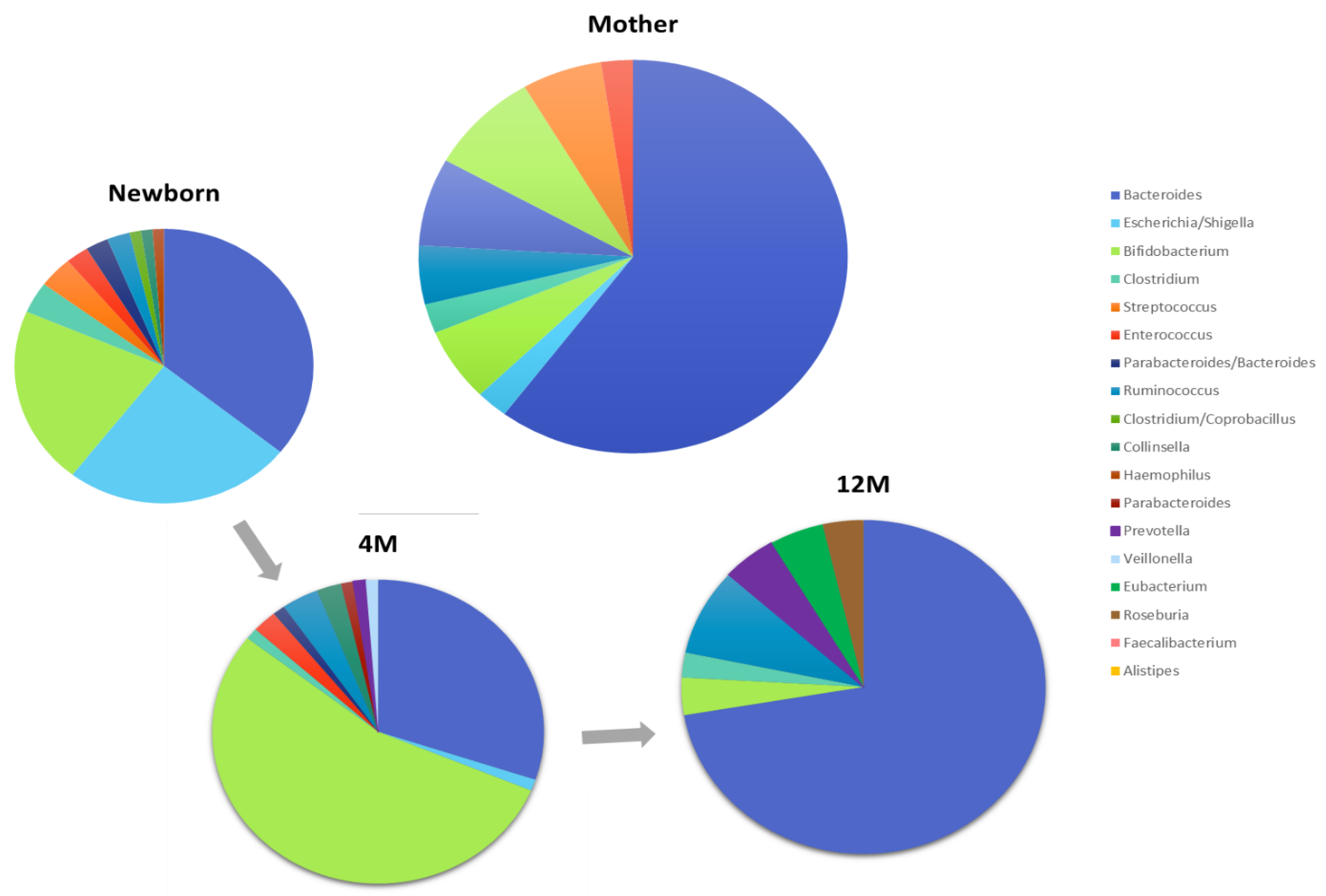 Nutrients 11 02891 g003 550