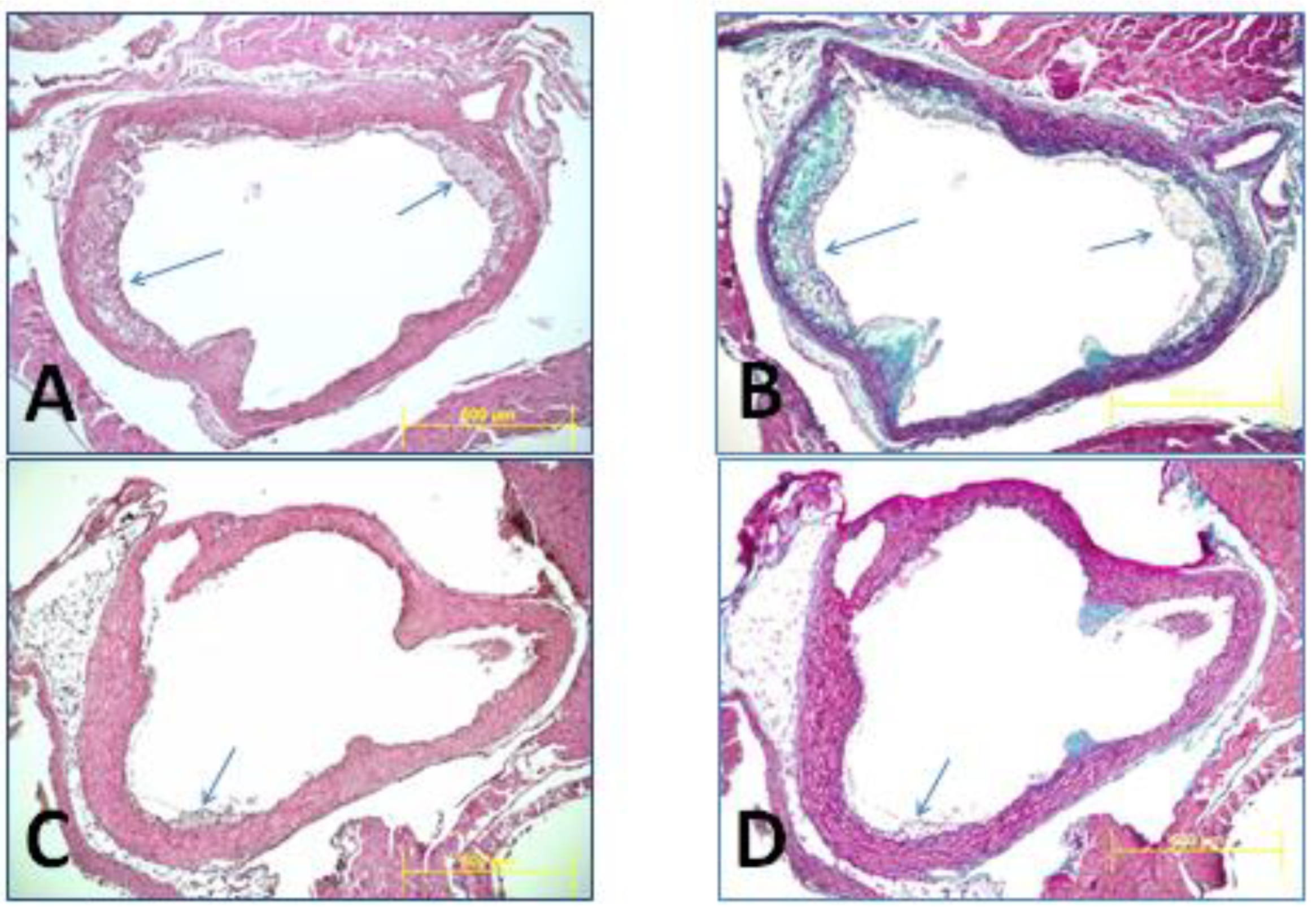 Nutrients 11 02894 g003
