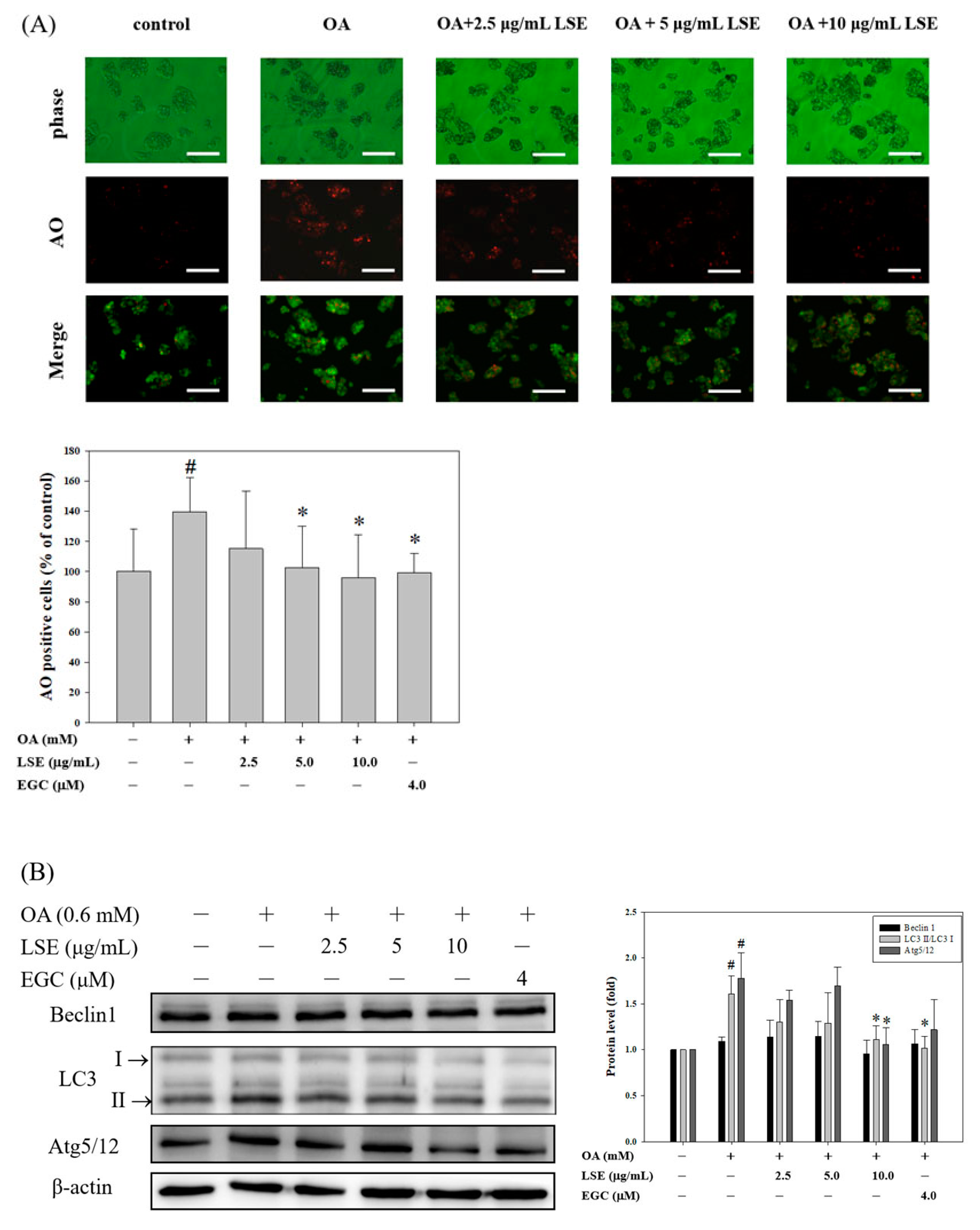 Nutrients 11 02895 g004 Nutrients 11 02895 g004