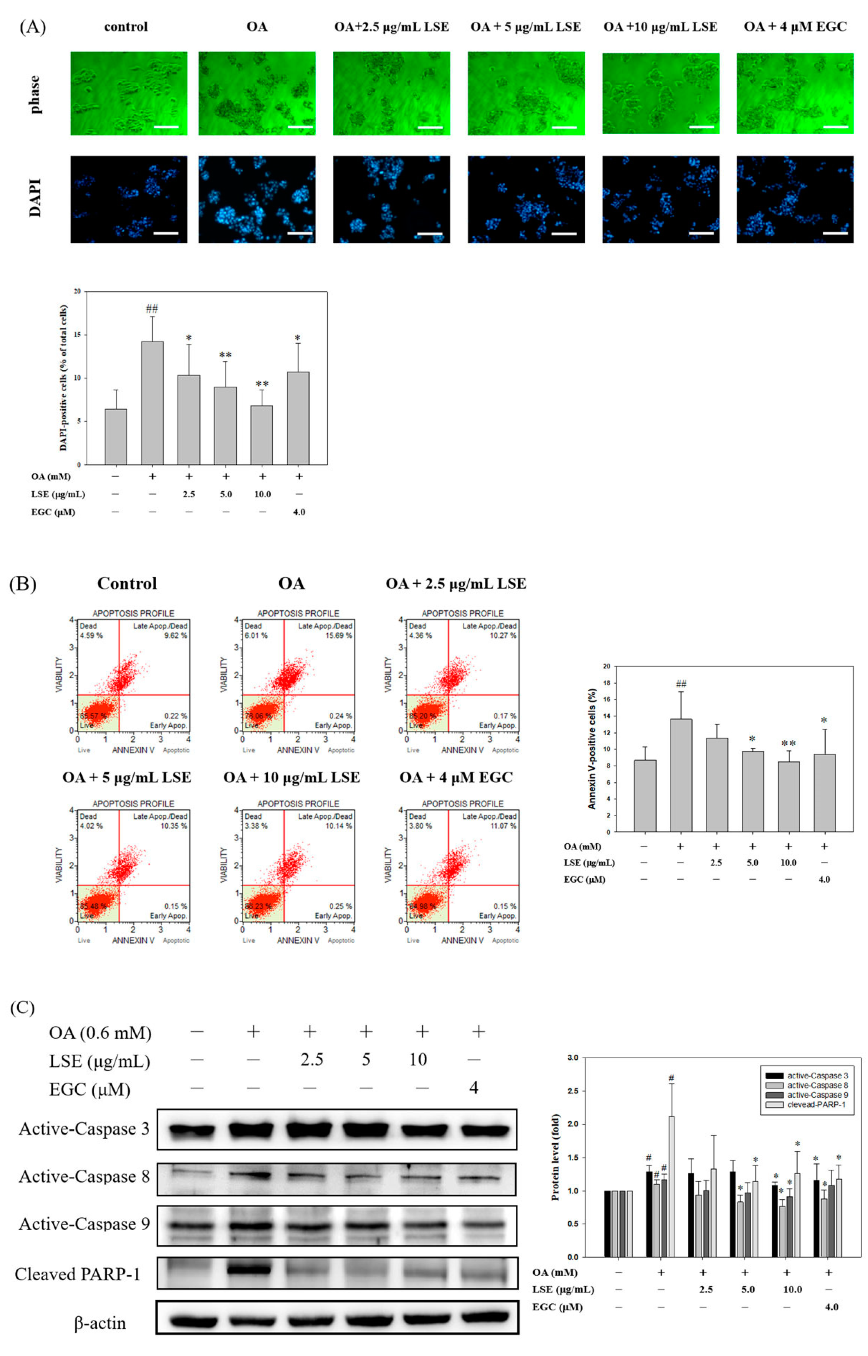 Nutrients 11 02895 g005a Nutrients 11 02895 g005a