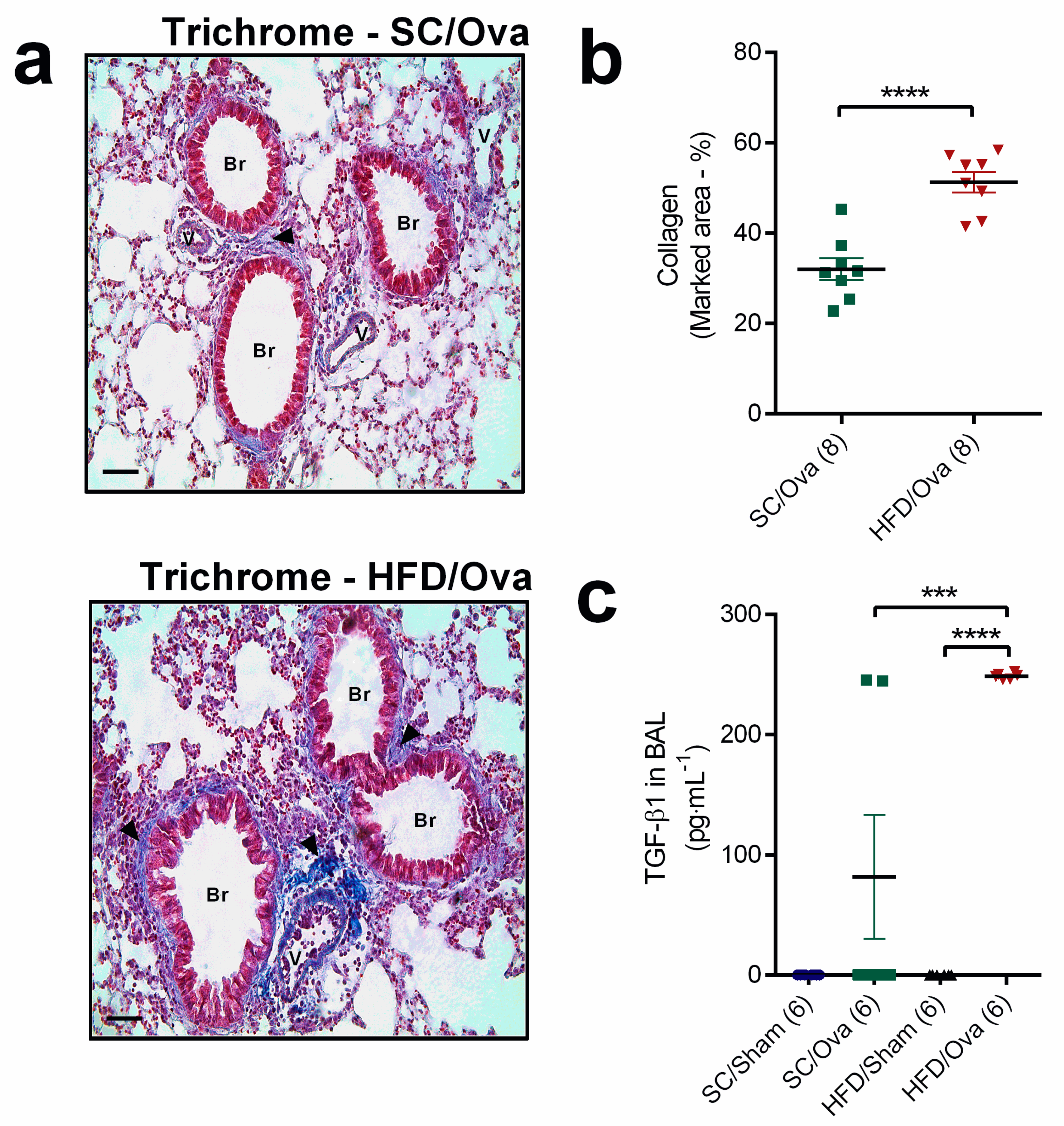 Nutrients 11 02902 g004 Nutrients 11 02902 g004