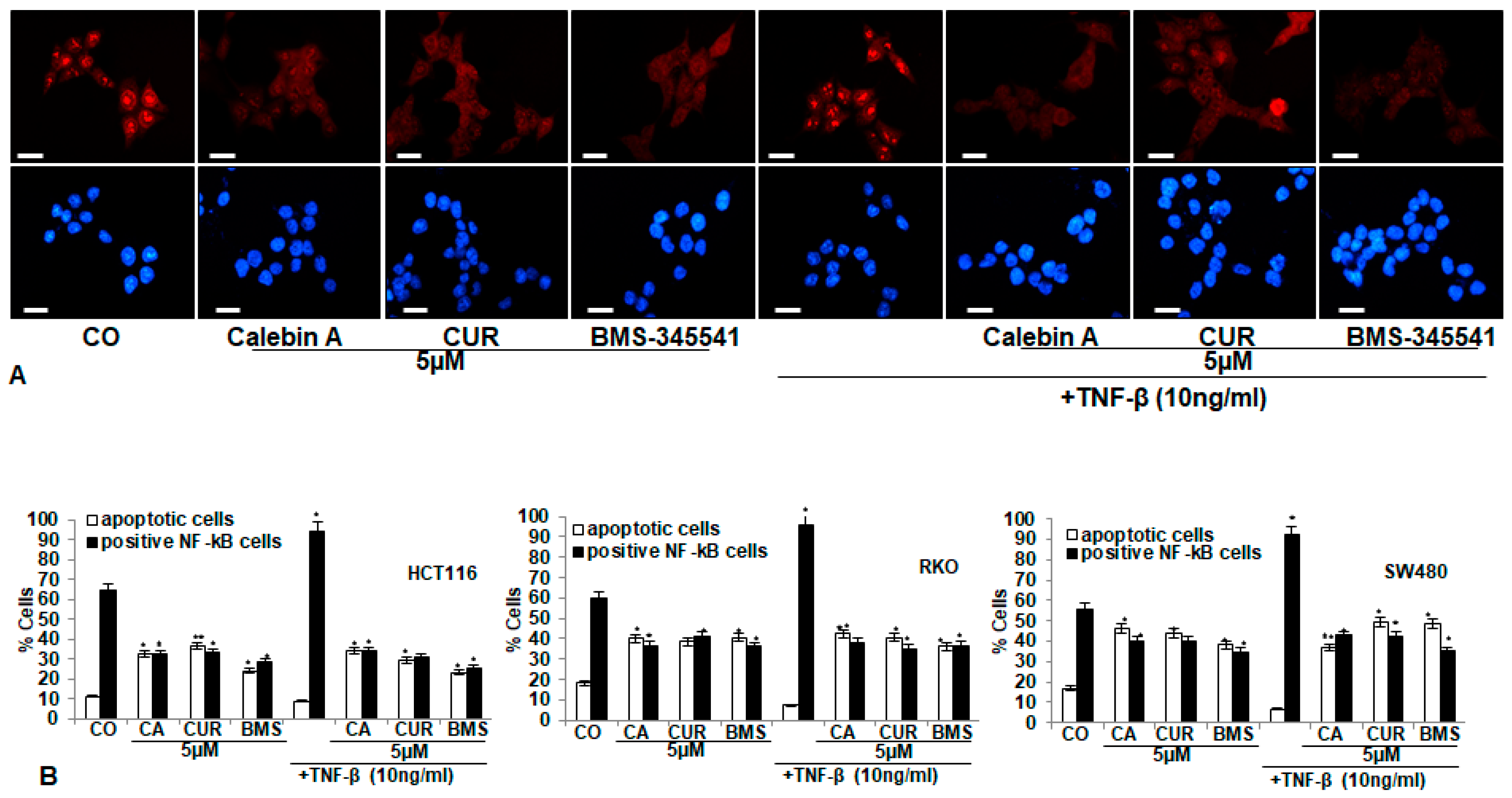 Nutrients 11 02904 g003