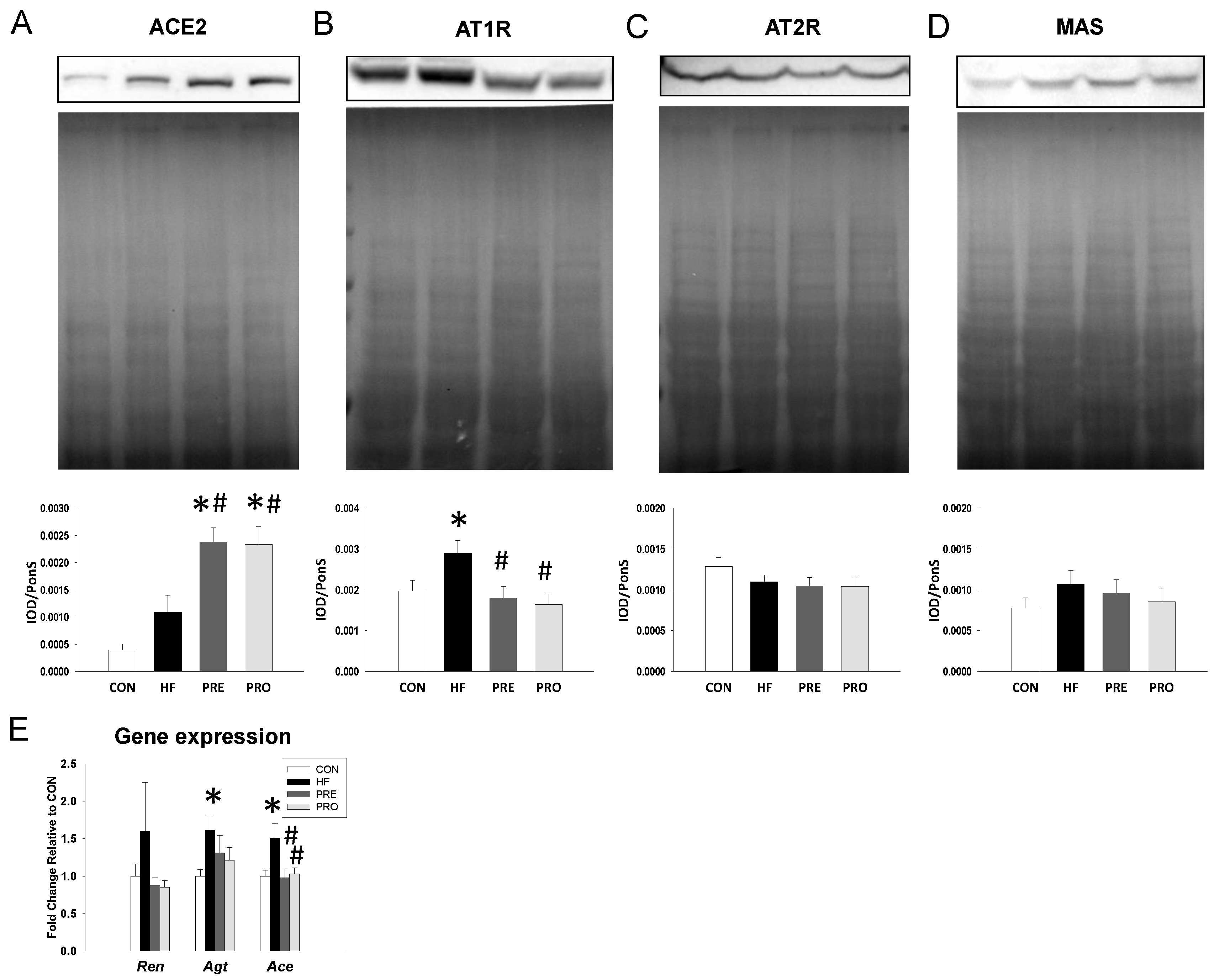 Nutrients 11 02908 g002 Nutrients 11 02908 g002