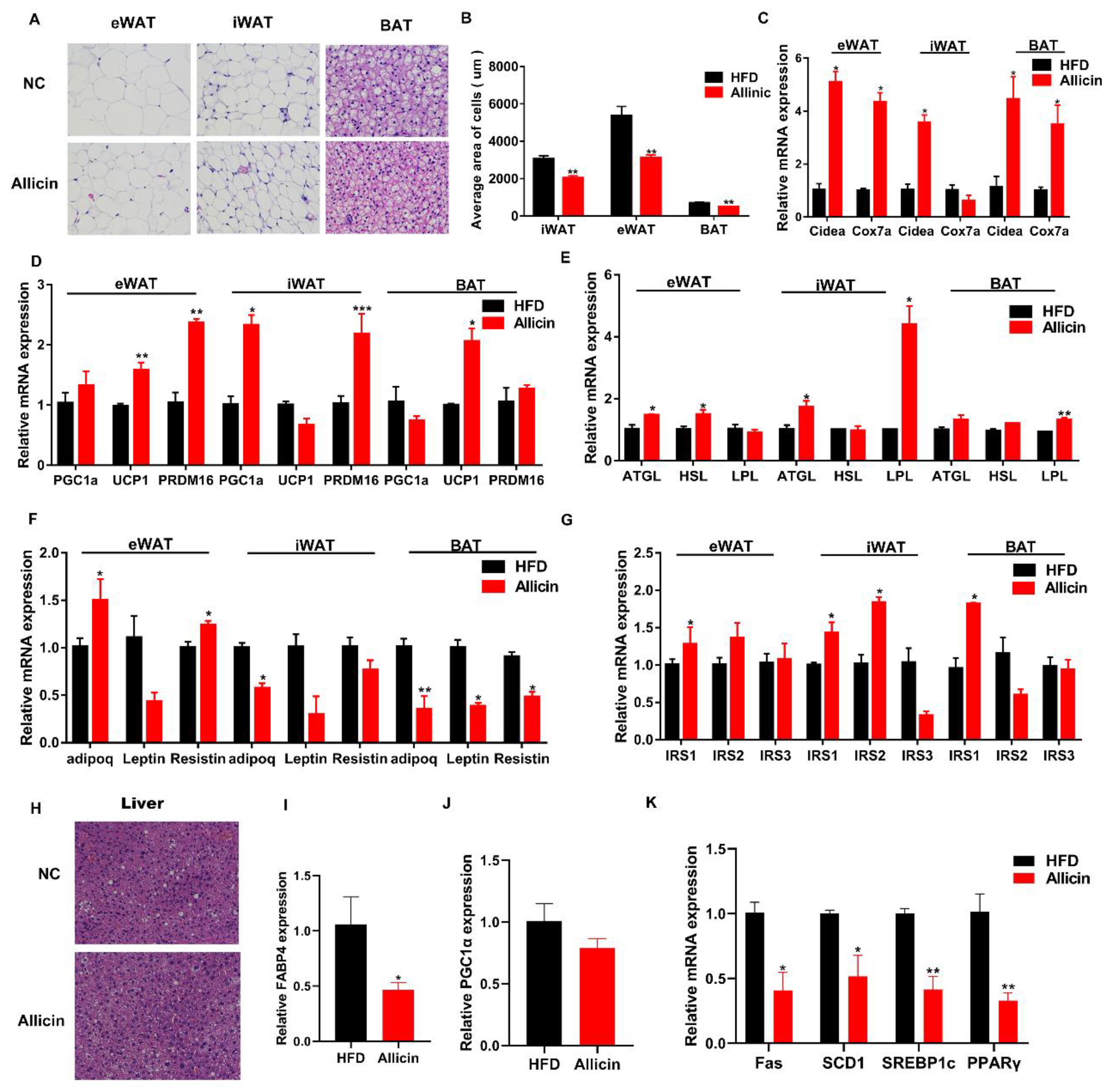 Nutrients 11 02909 g002