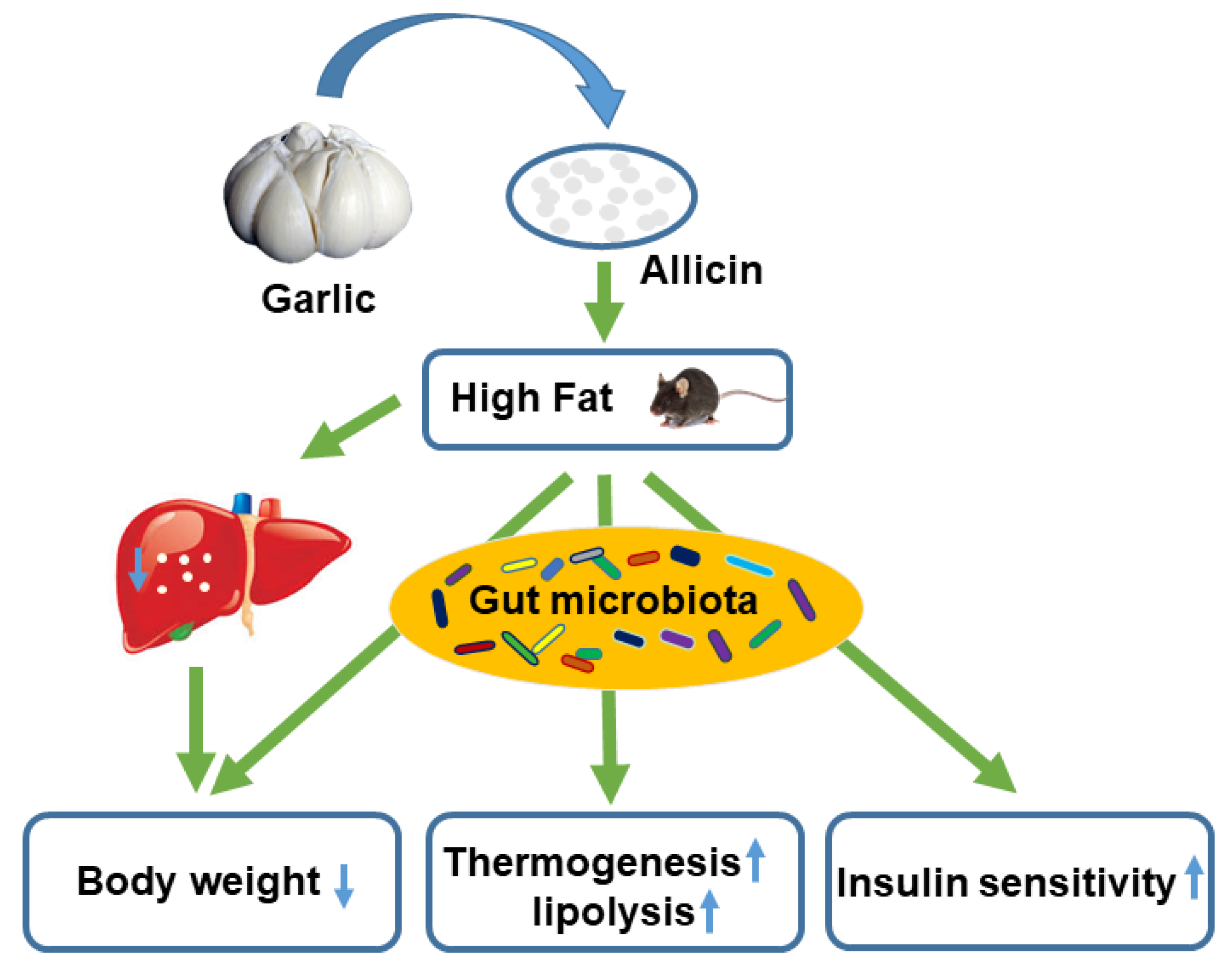 Nutrients 11 02909 g007