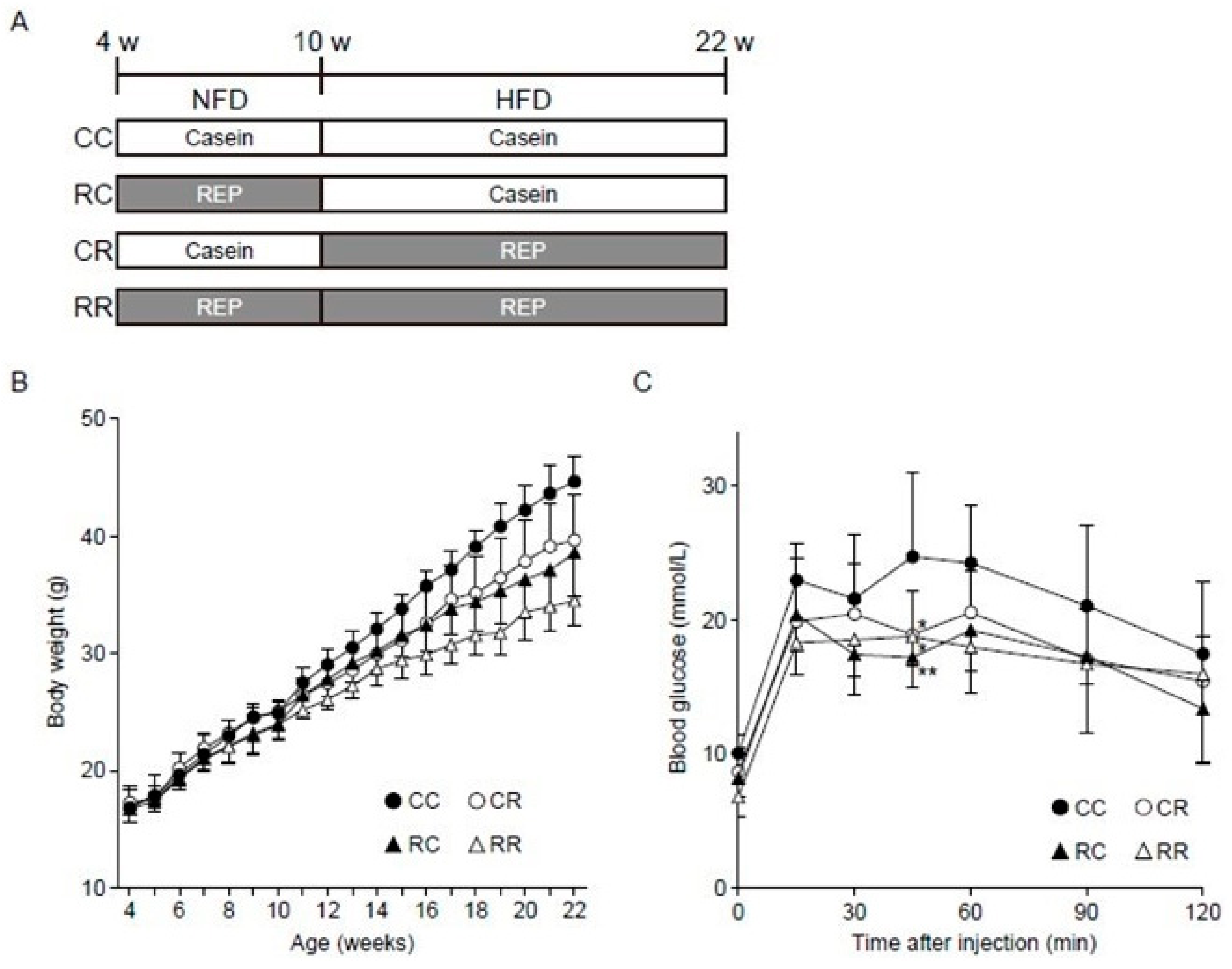 Nutrients 11 02919 g001