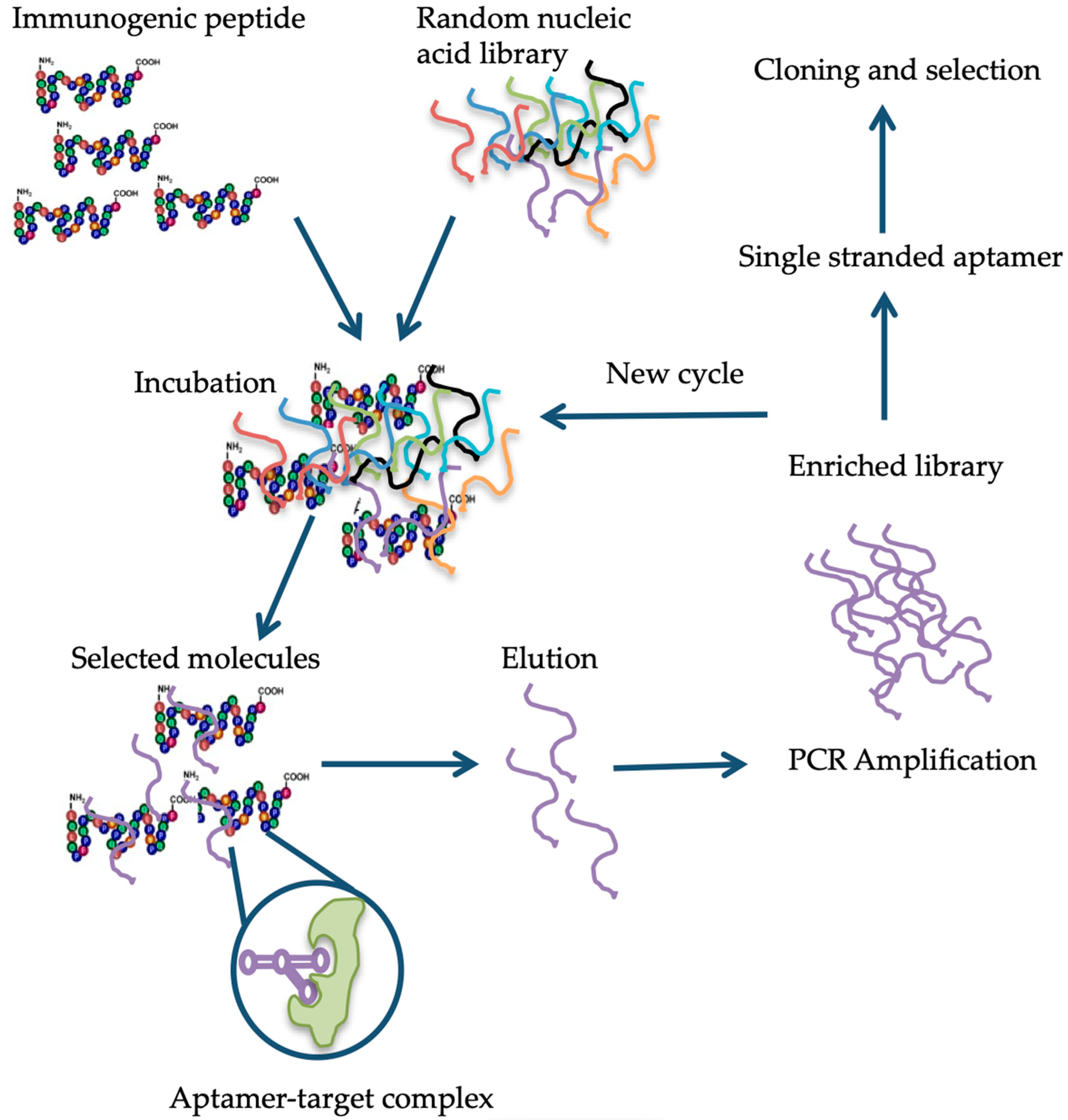 Nutrients 11 02920 g001 Nutrients 11 02920 g001