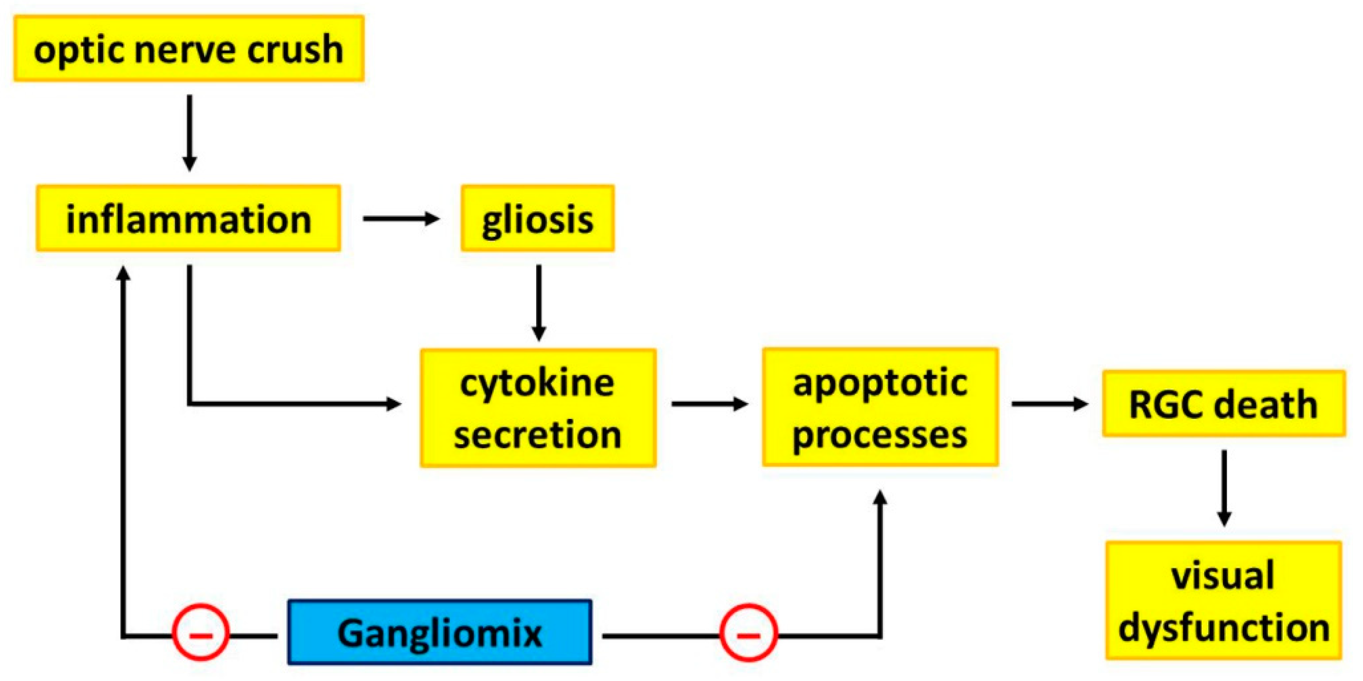 Nutrients | Free Full-Text | Protective Efficacy of a Dietary Supplement  Based on Forskolin, Homotaurine, Spearmint Extract, and Group B Vitamins in  a Mouse Model of Optic Nerve Injury