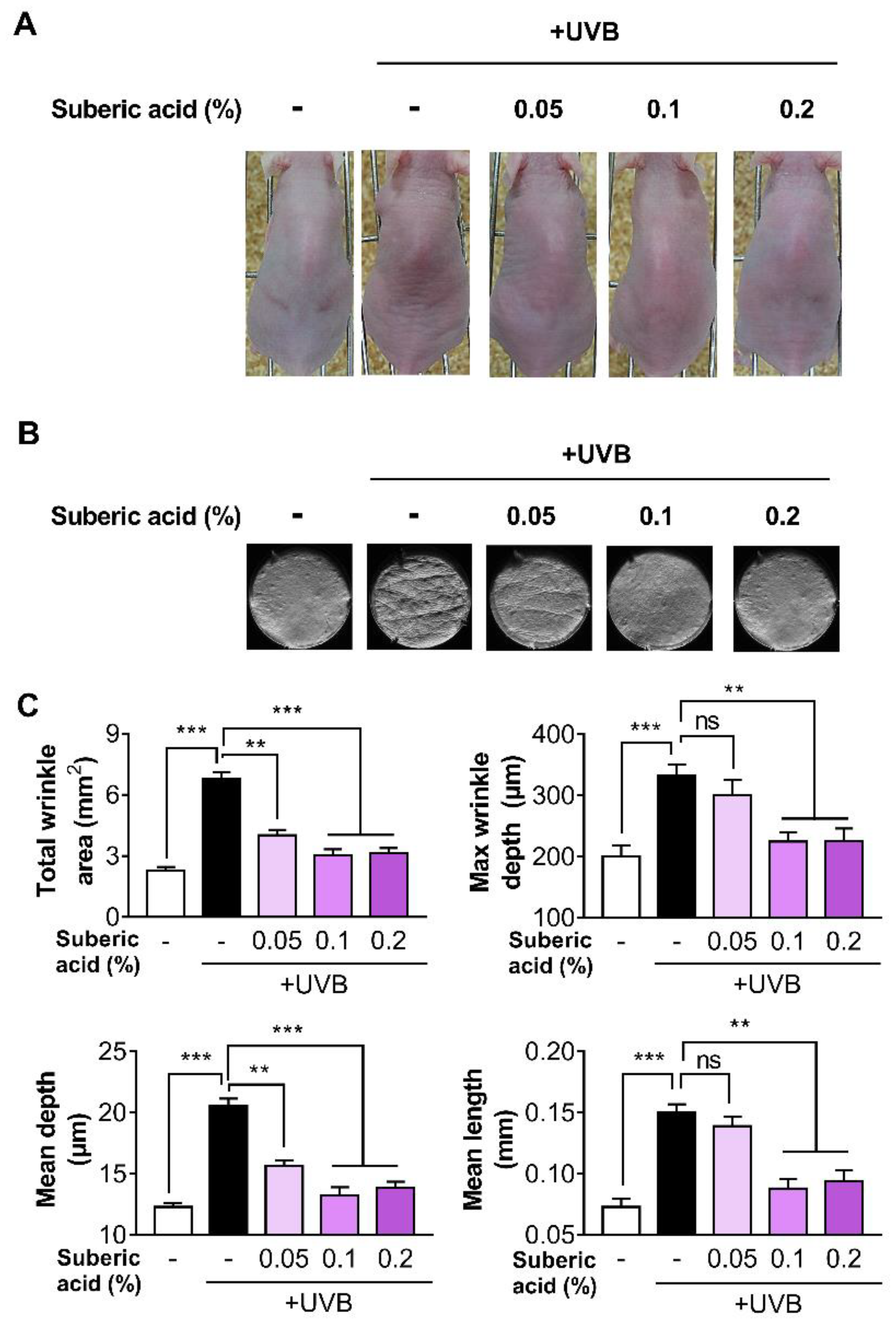 Nutrients 11 02948 g002 Nutrients 11 02948 g002