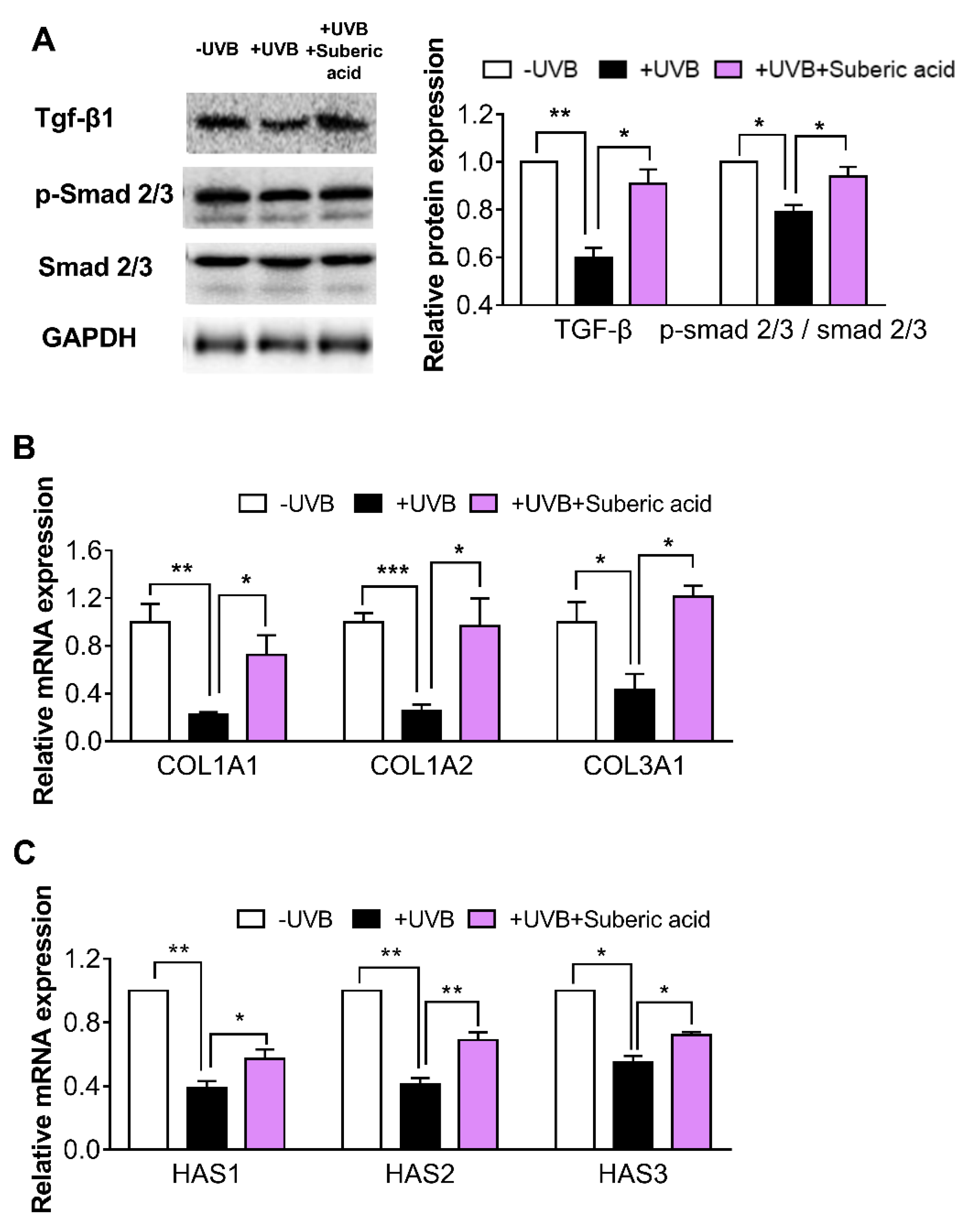 Nutrients 11 02948 g006 Nutrients 11 02948 g006